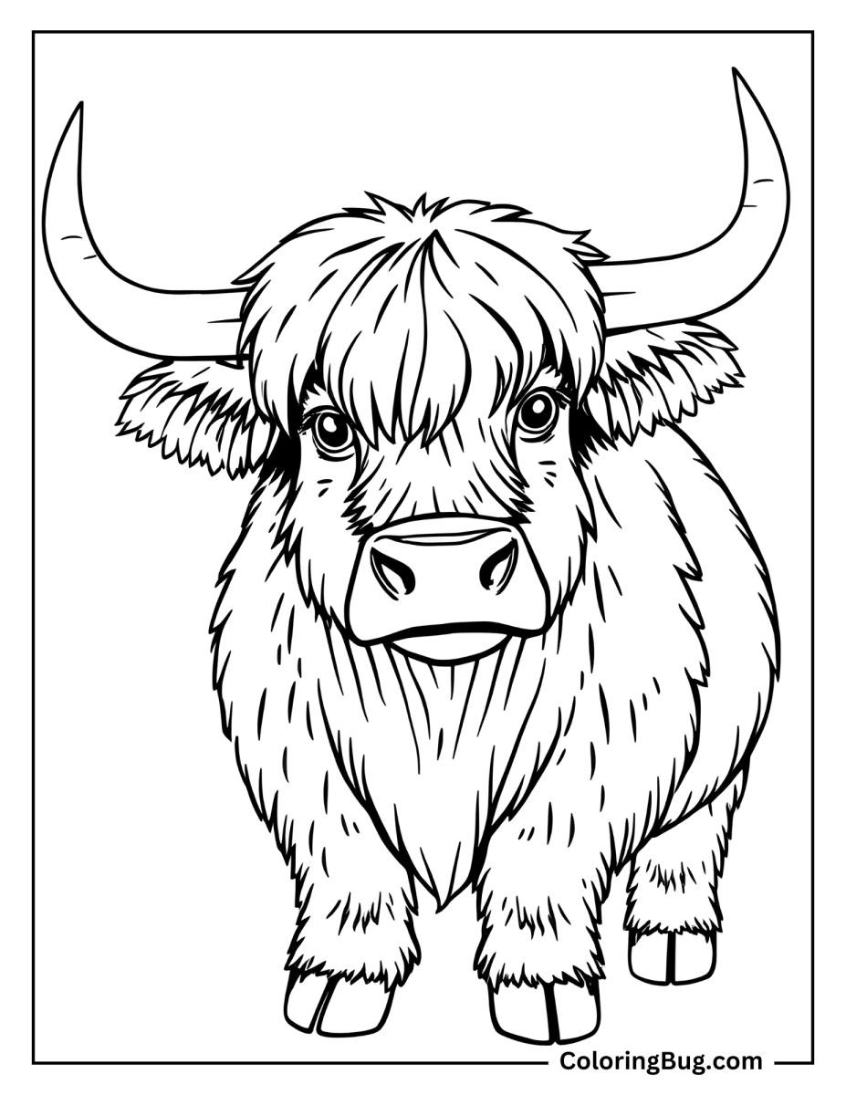 40 Highland Cow Coloring Pages - A Highland Cow Coloring Sheet 927x1200