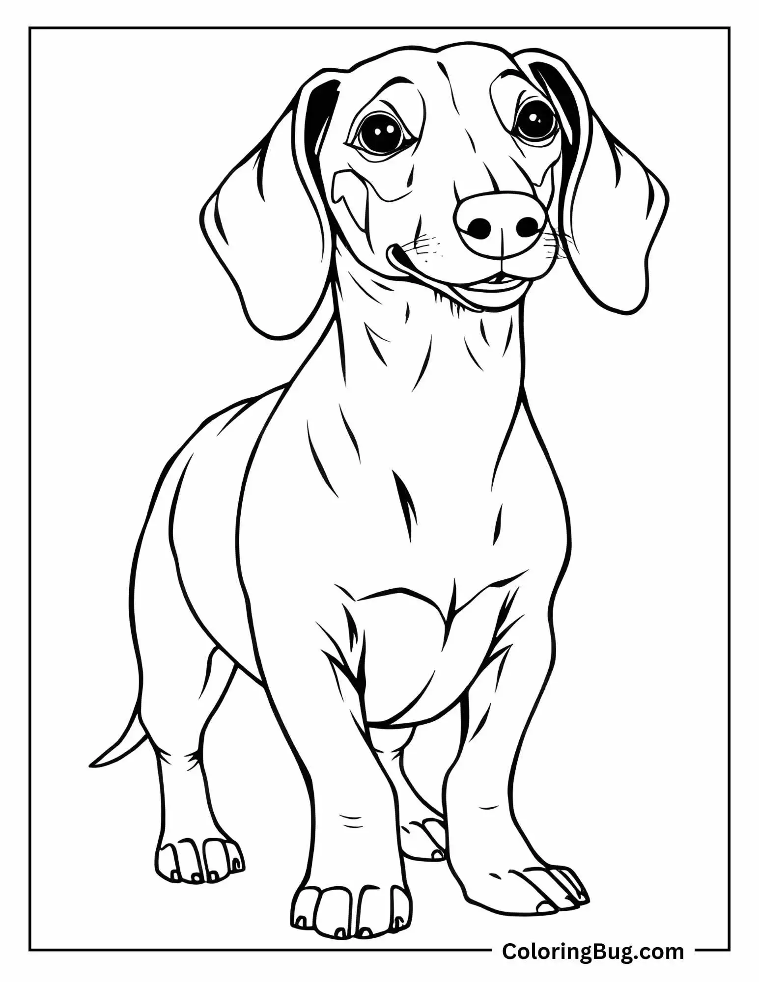 30 Dachshund Coloring Pages (Free Printable PDFs)