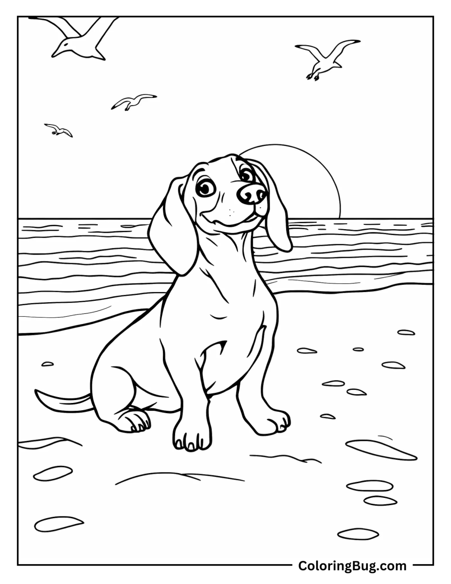 30 Dachshund Coloring Pages (Free Printable PDFs)