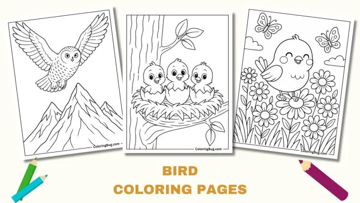 175+ Cute Bird Coloring Pages (Free Printable PDFs) 