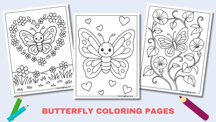 70 Butterfly Coloring Pages (Free Printable PDFs)