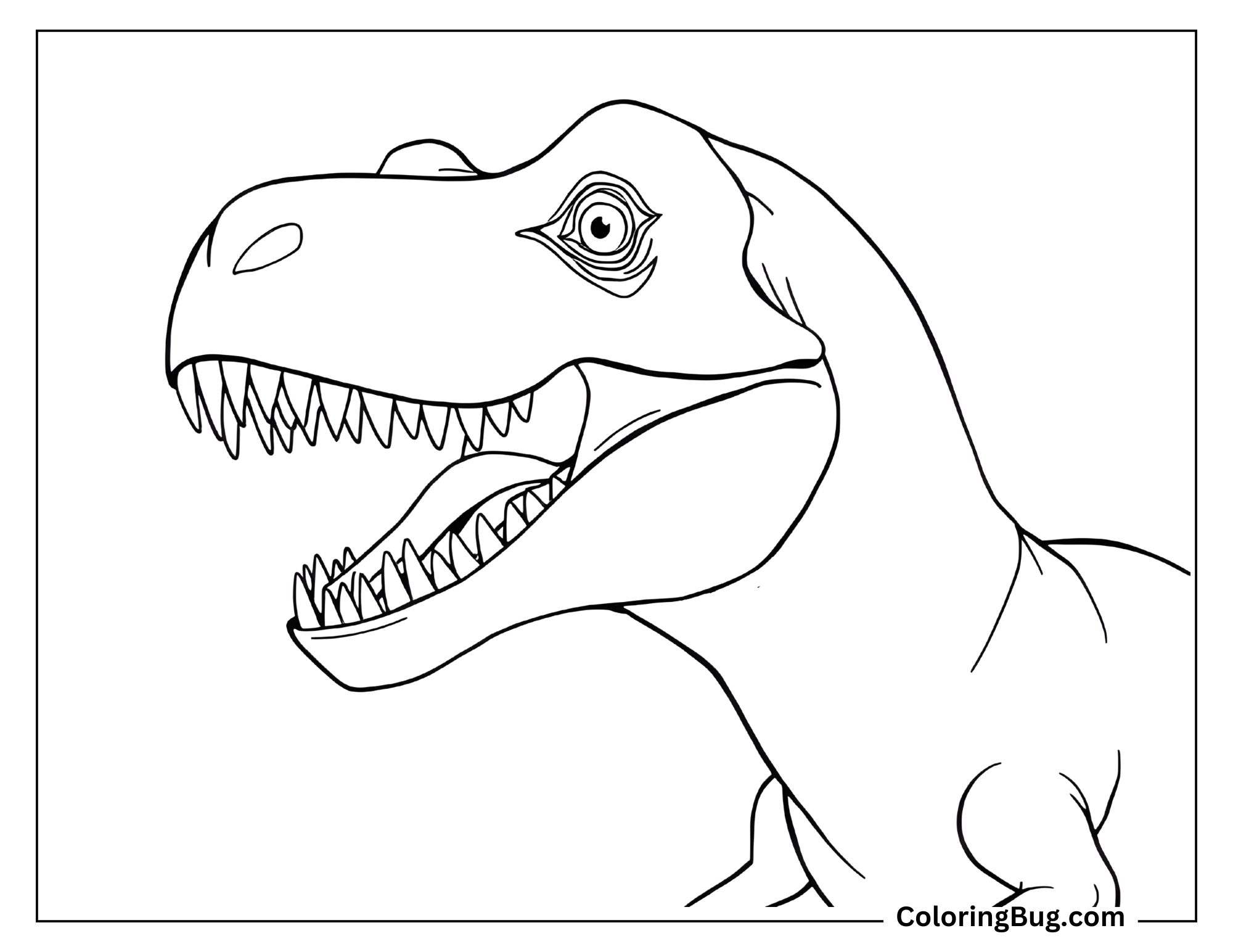 Coloring page of a close-up view of a T-Rex head, showing its open mouth with sharp teeth and a focused eye. The simple, detailed design highlights the T-Rex's fierce expression, making it ideal for coloring enthusiasts who enjoy focusing on facial features.