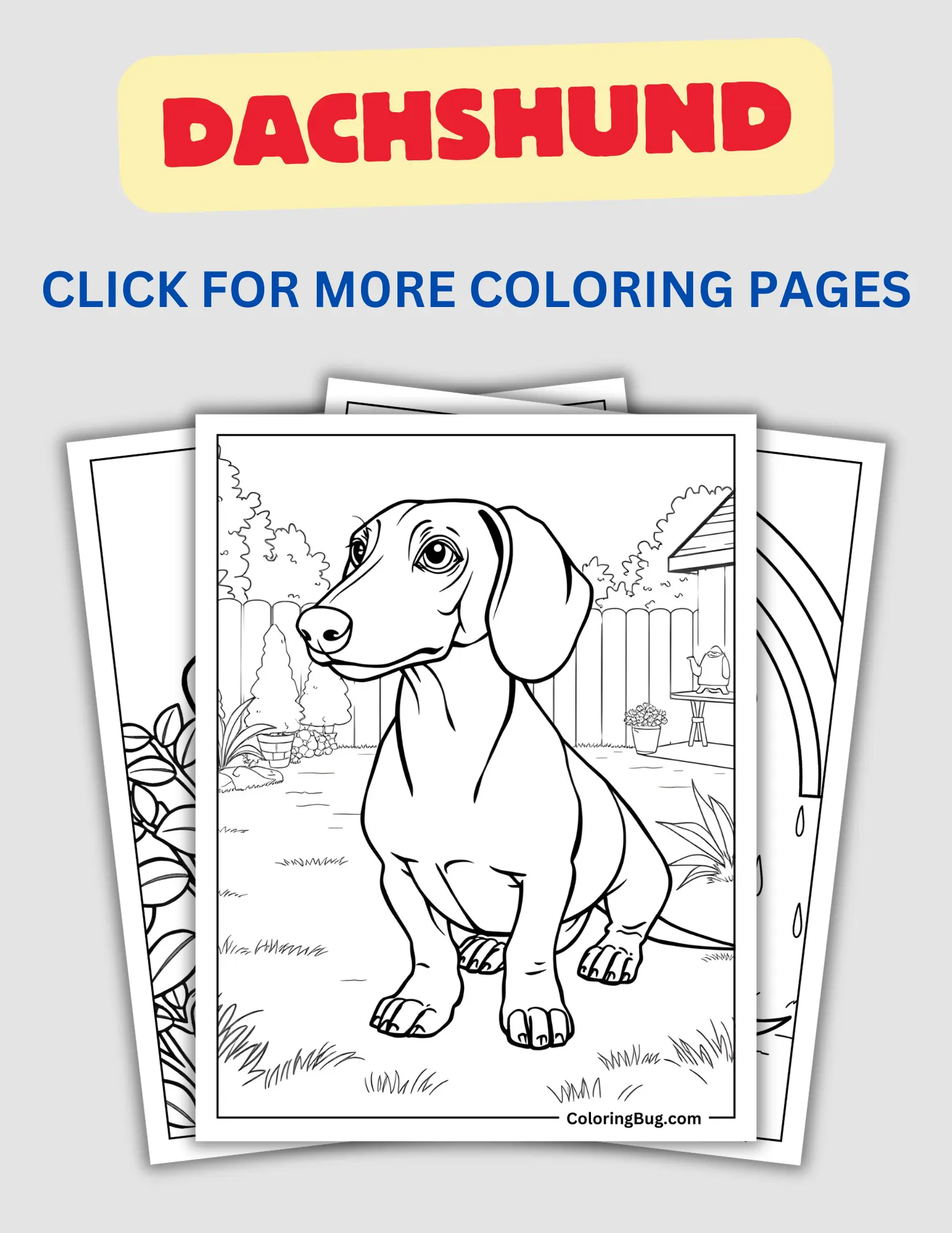 Dachshund Coloring Pages