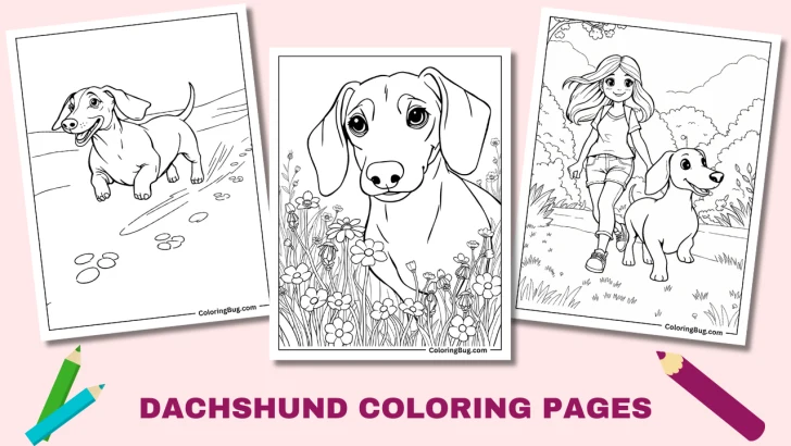 30 Dachshund Coloring Pages (Free Printable PDFs)
