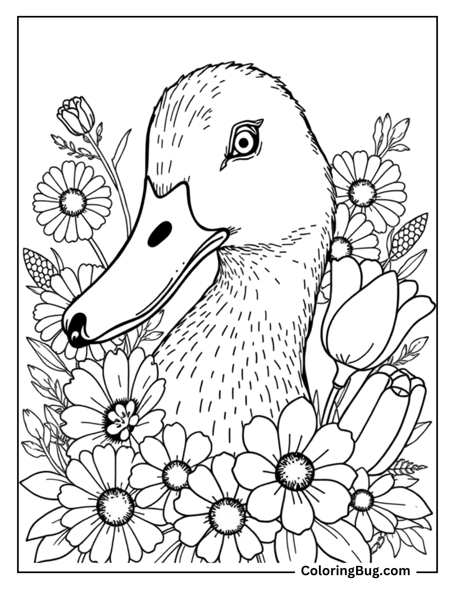 Coloring page of a duck’s head surrounded by a variety of flowers, including daisies and tulips, creating a beautiful floral frame around the duck.