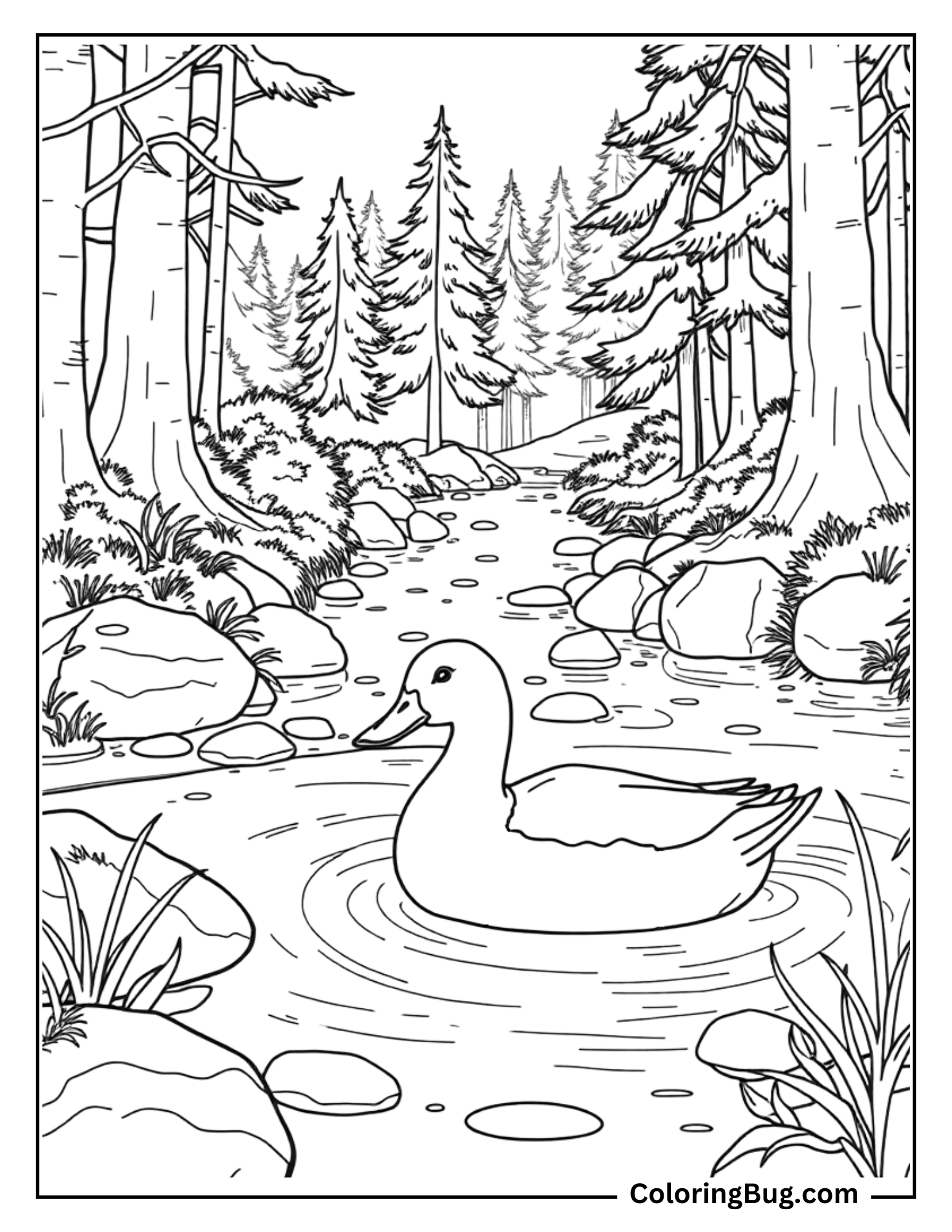 Coloring page of a serene forest scene with a duck swimming in a gentle stream surrounded by tall trees, rocks, and lush greenery.