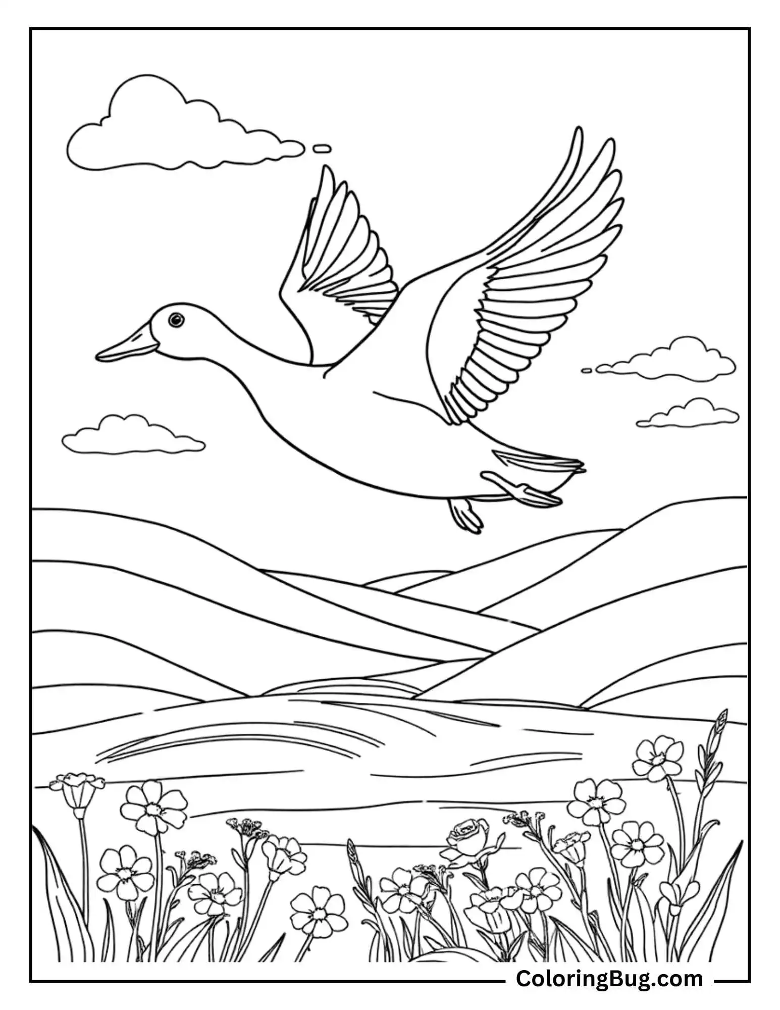 This coloring page features a duck in flight over a peaceful landscape. The duck soars with its wings extended, set against rolling hills and a serene sky dotted with clouds. Below, wildflowers add natural detail to the scene, creating a charming and tranquil outdoor setting.