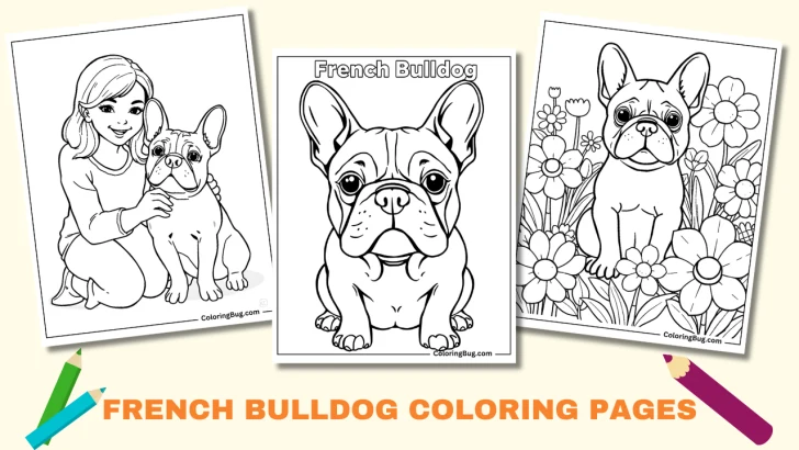 30 French Bulldog Coloring Pages (Free Printable PDFs)