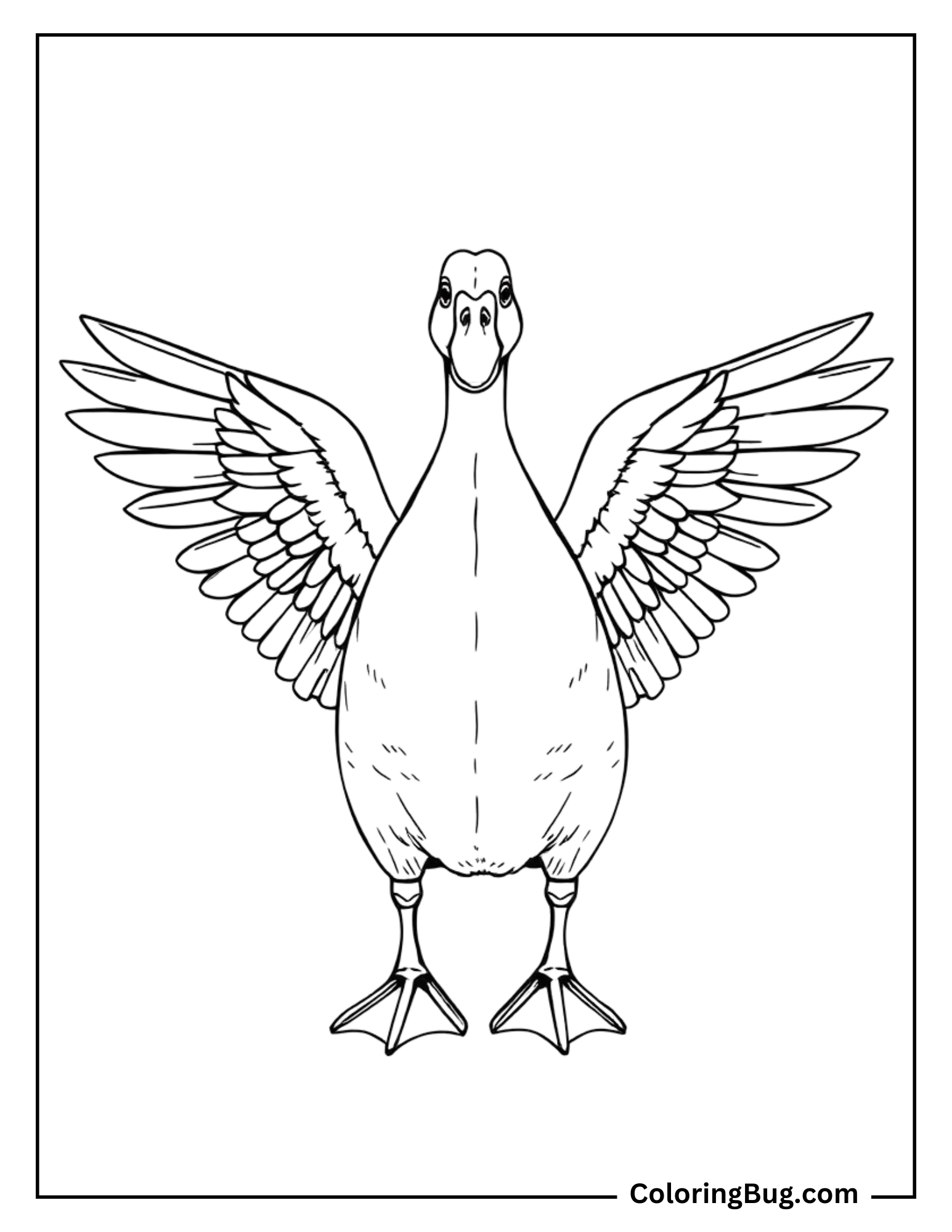 This coloring page showcases a front view of a duck with its wings fully spread, creating a symmetrical and captivating pose. The detailed wing feathers invite careful coloring, and the centered stance of the duck adds a sense of balance and grace.