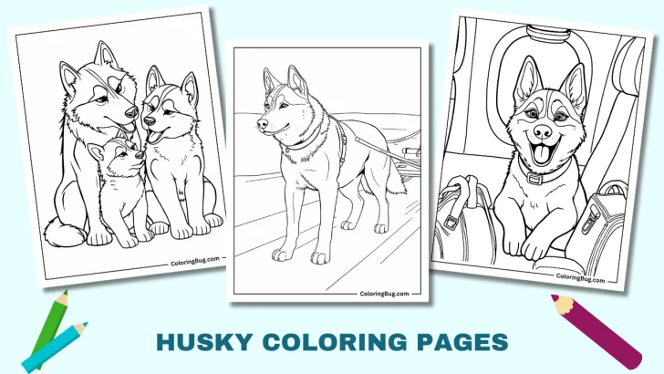 30 Husky Coloring Pages (Free Printable PDFs)