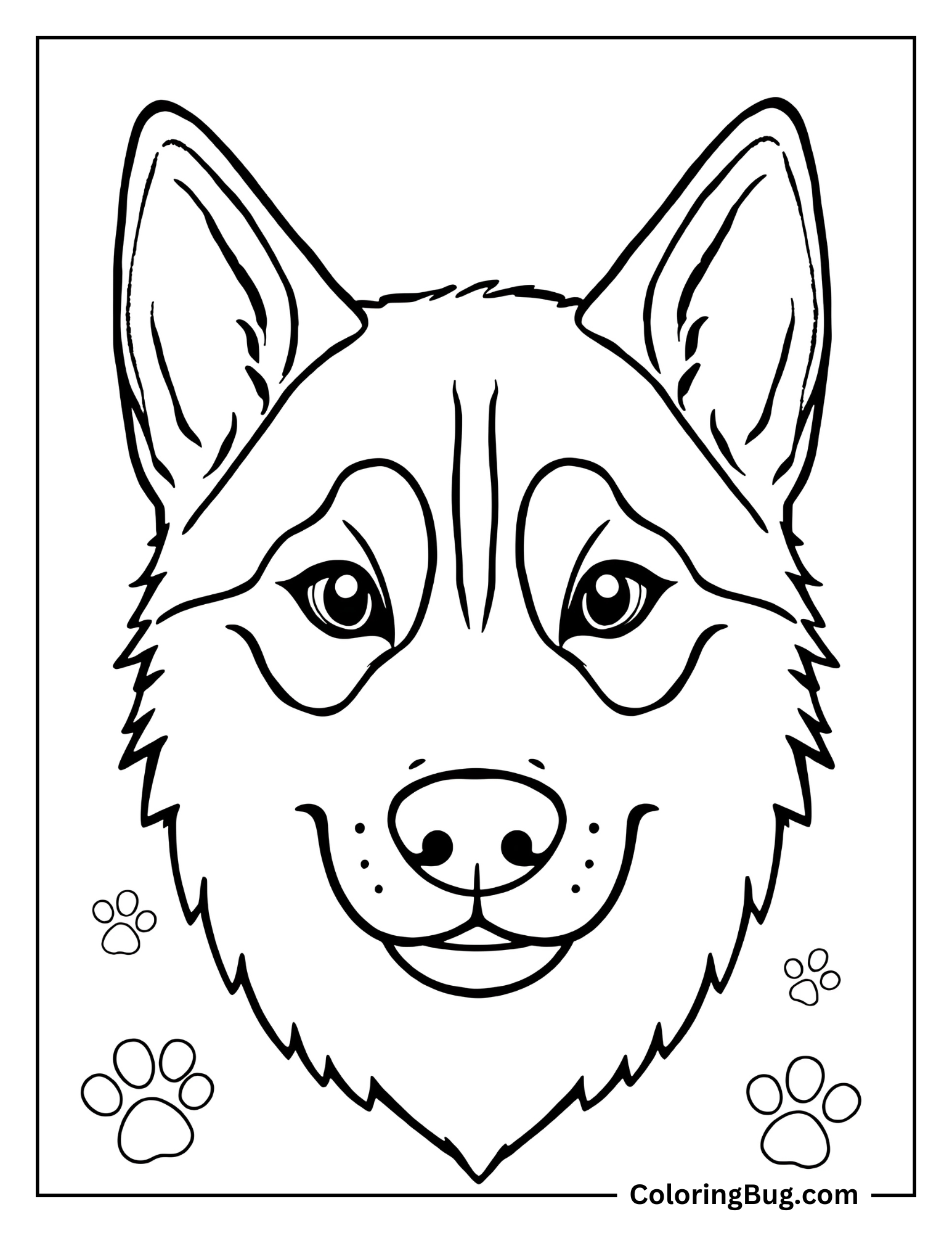 Husky Face to Color Coloring Sheet