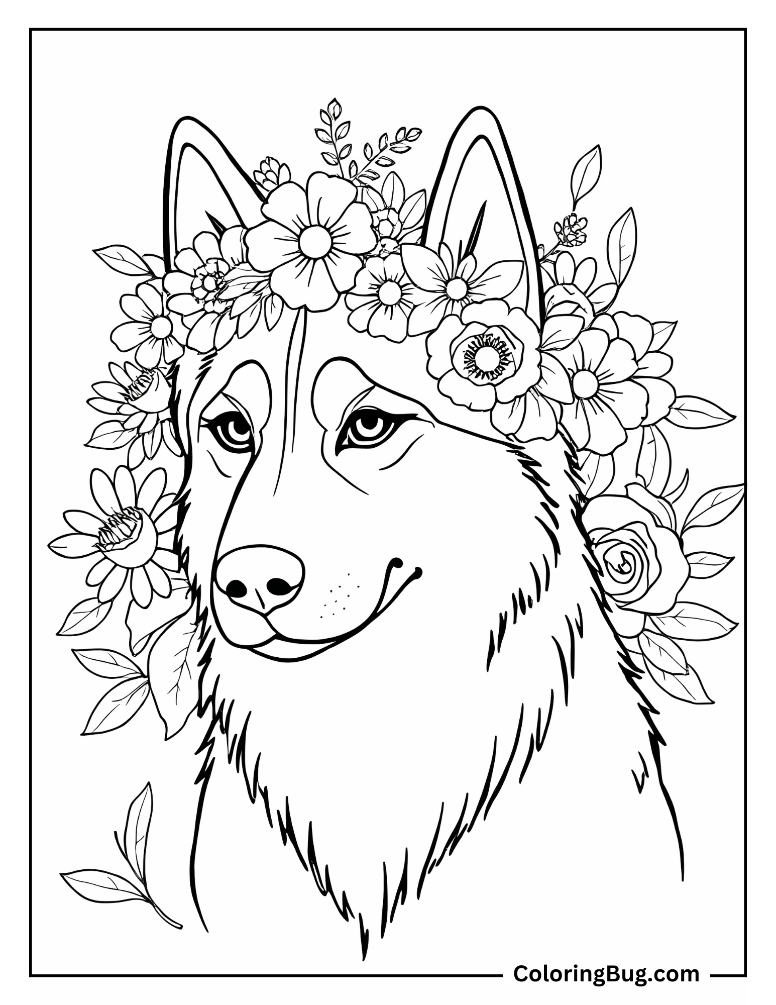Husky Wearing Flowers Crown Coloring Sheet
