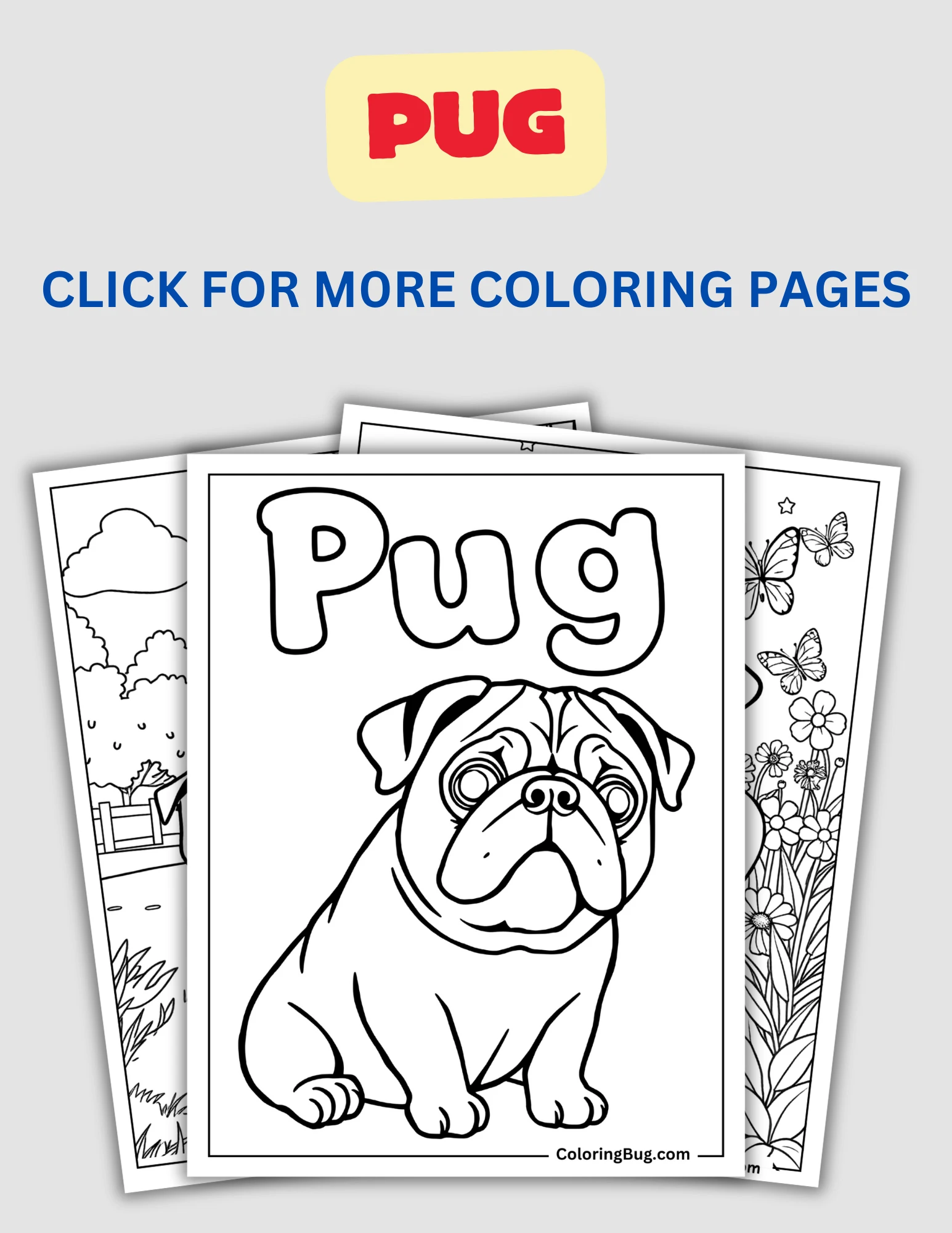 Pug Coloring Pages