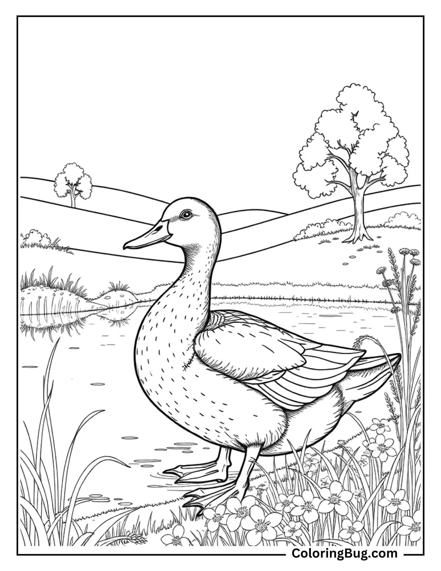 A detailed coloring page featuring a realistic duck standing by a pond, surrounded by wildflowers and tall grass. In the background, gentle hills and a tree add a serene, natural setting.