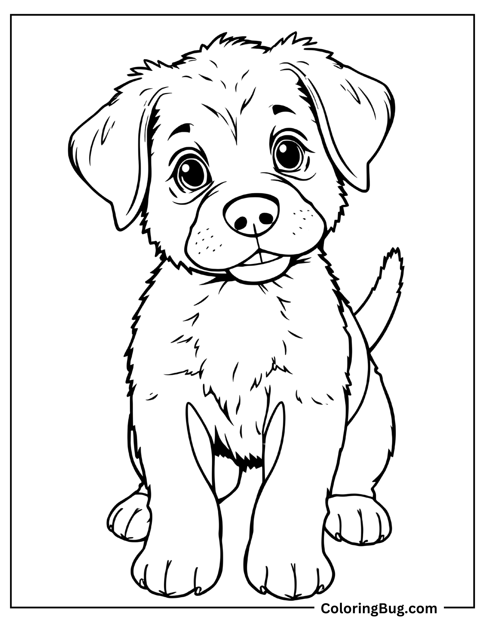 Realistic puppy Coloring sheet