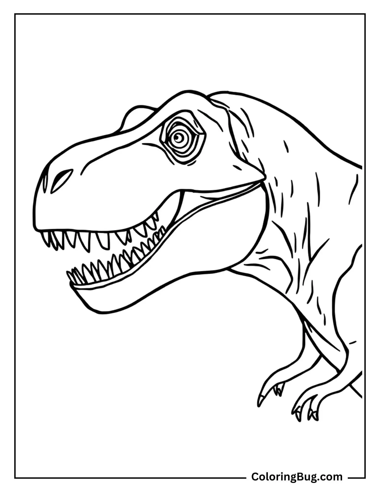 A simple outline of a T-Rex head and upper body, showing its large eye, sharp teeth, and powerful jaws. The T-Rex has a serious expression and detailed lines showing texture on its skin.