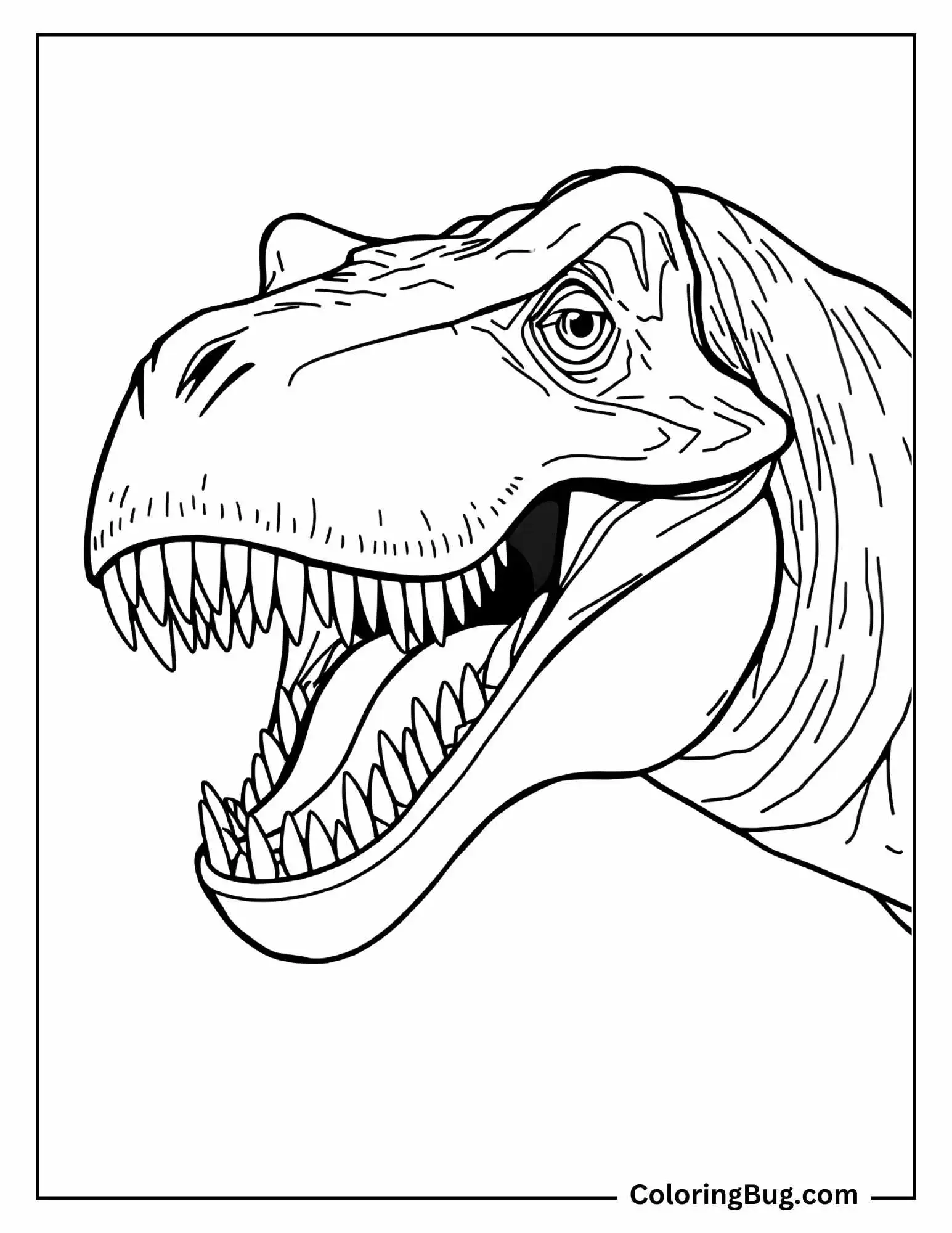 A close-up outline of a T-Rex head with its mouth open, displaying sharp, pointed teeth. The T-Rex has a fierce expression, with detailed lines accentuating the texture on its skin and the contours around its eye and jaw.
