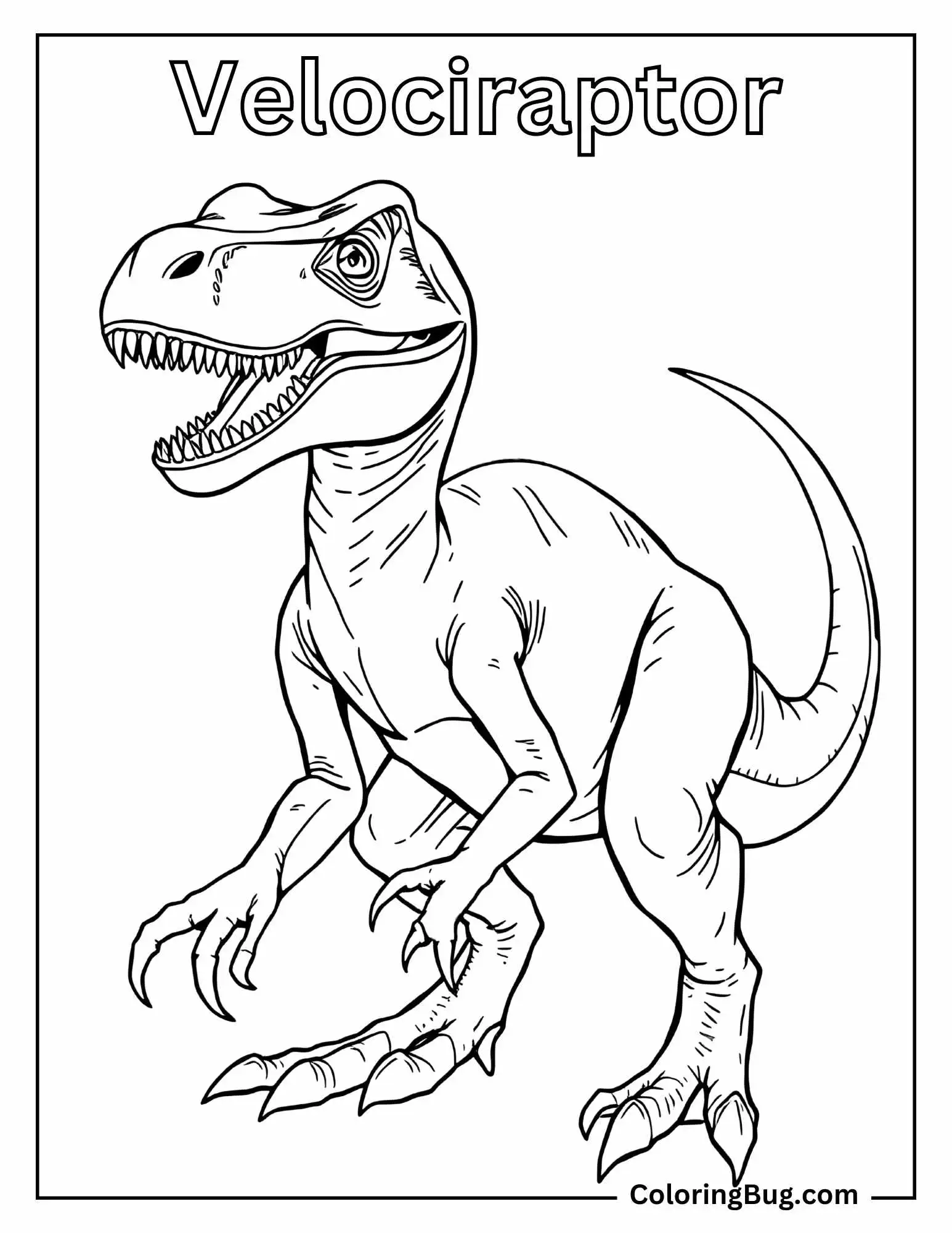 Coloring page of a detailed Velociraptor with the title 'Velociraptor' at the top. The Velociraptor is depicted in a realistic stance with an open mouth, showing its sharp teeth and alert expression.