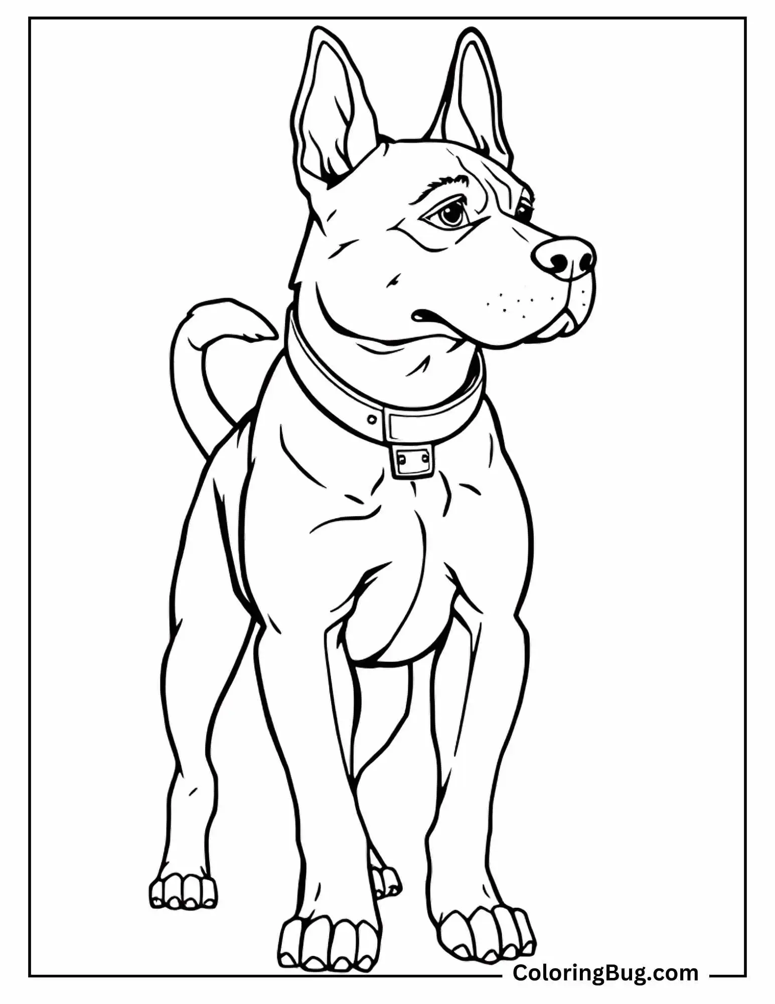 Guard dog coloring sheet