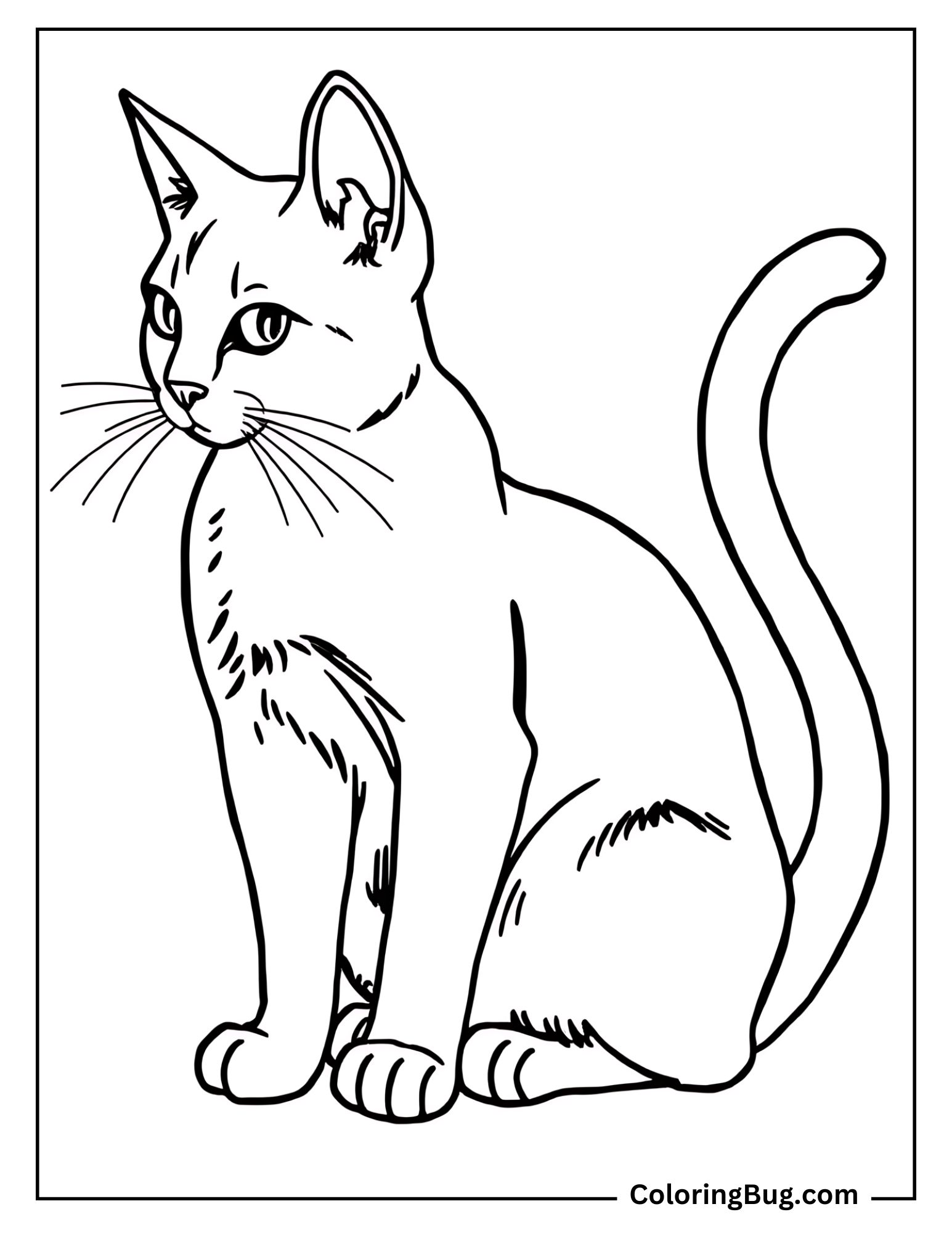 Realistic cat outline coloring sheet