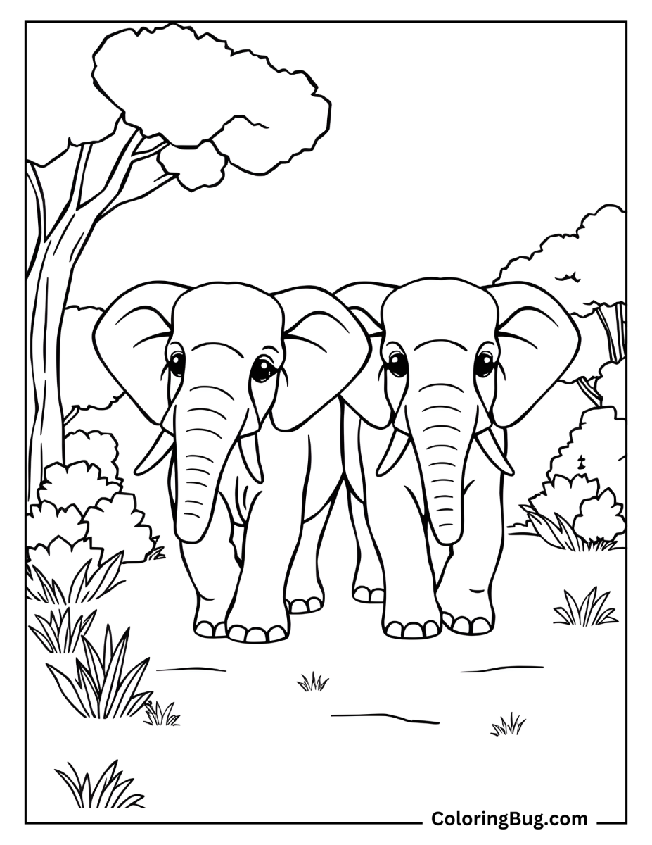 40  Elephant Coloring Pages (Free Printable PDFs)