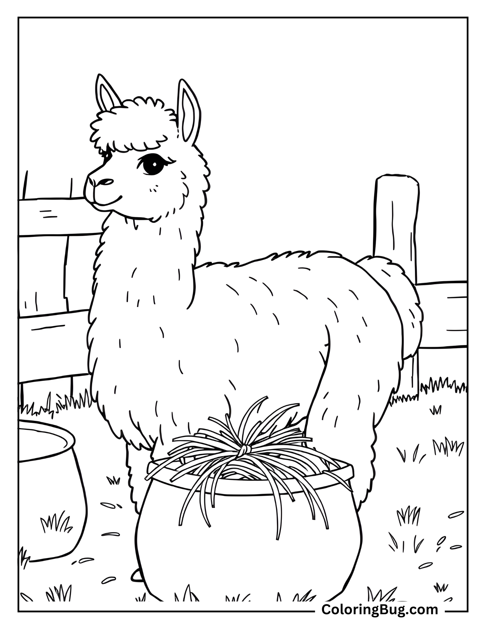 Alpaca in Farm Eating Hay Coloring Sheet