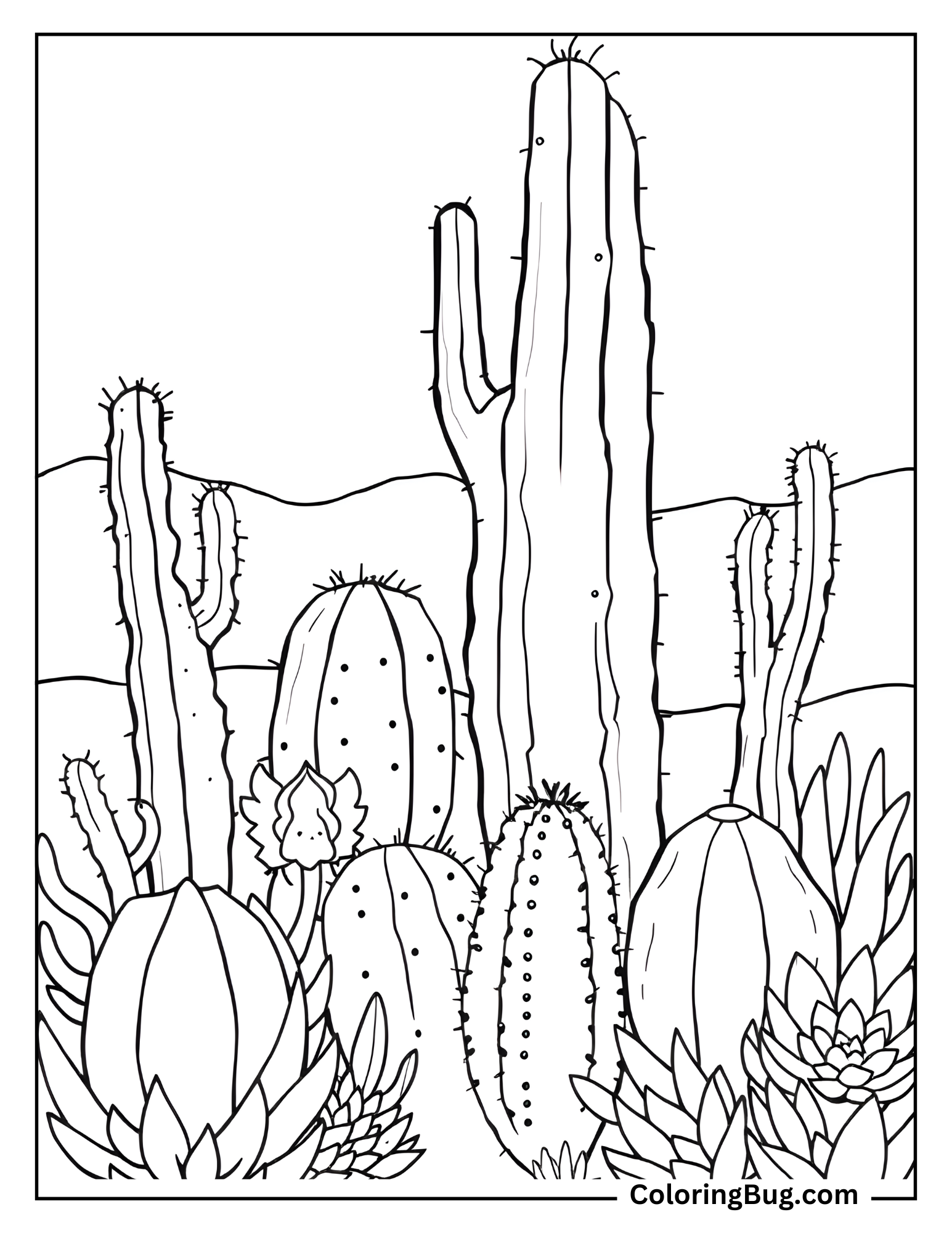 Assorted Cactus And Succulents In The Desert Coloring Sheet