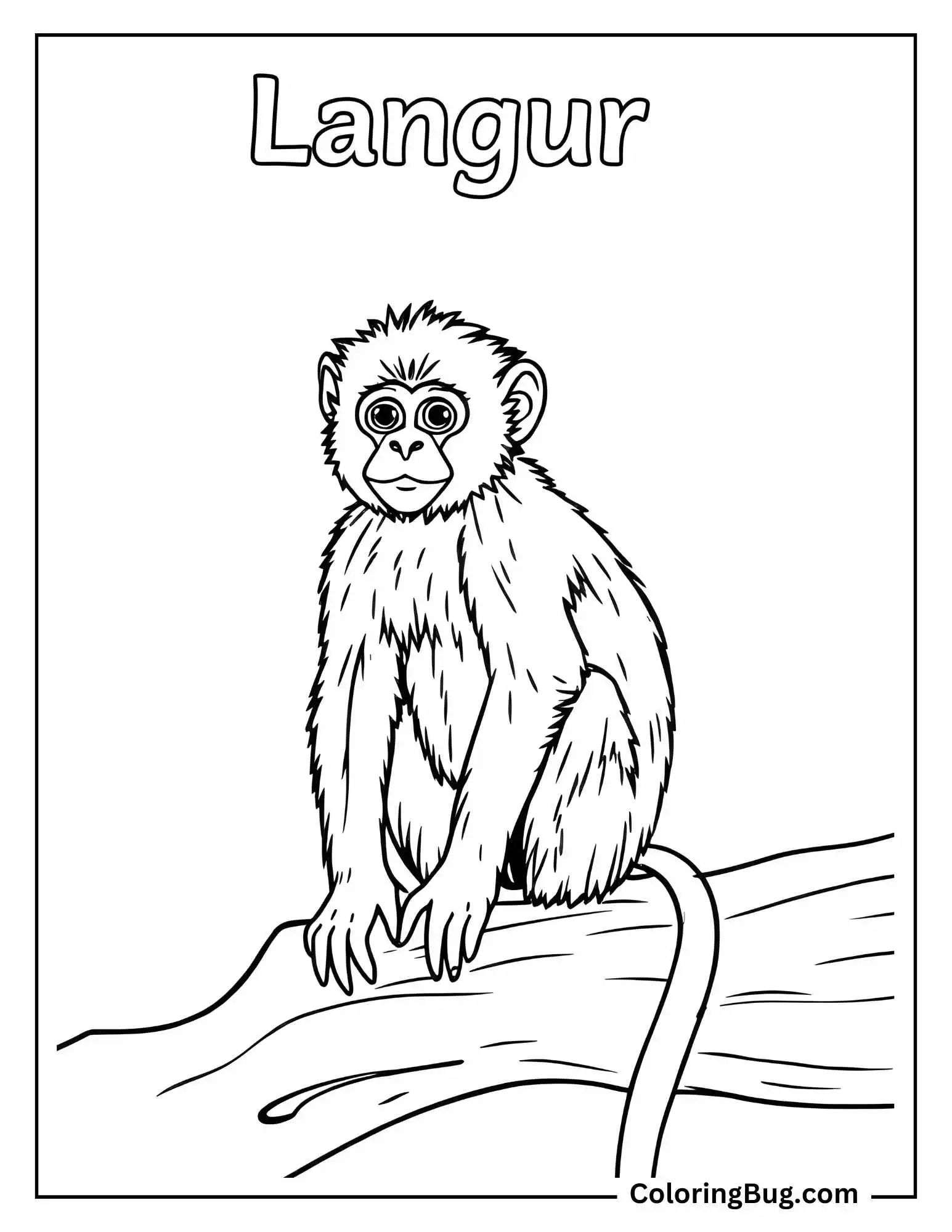 Baby Langur Monkey Coloring Sheet