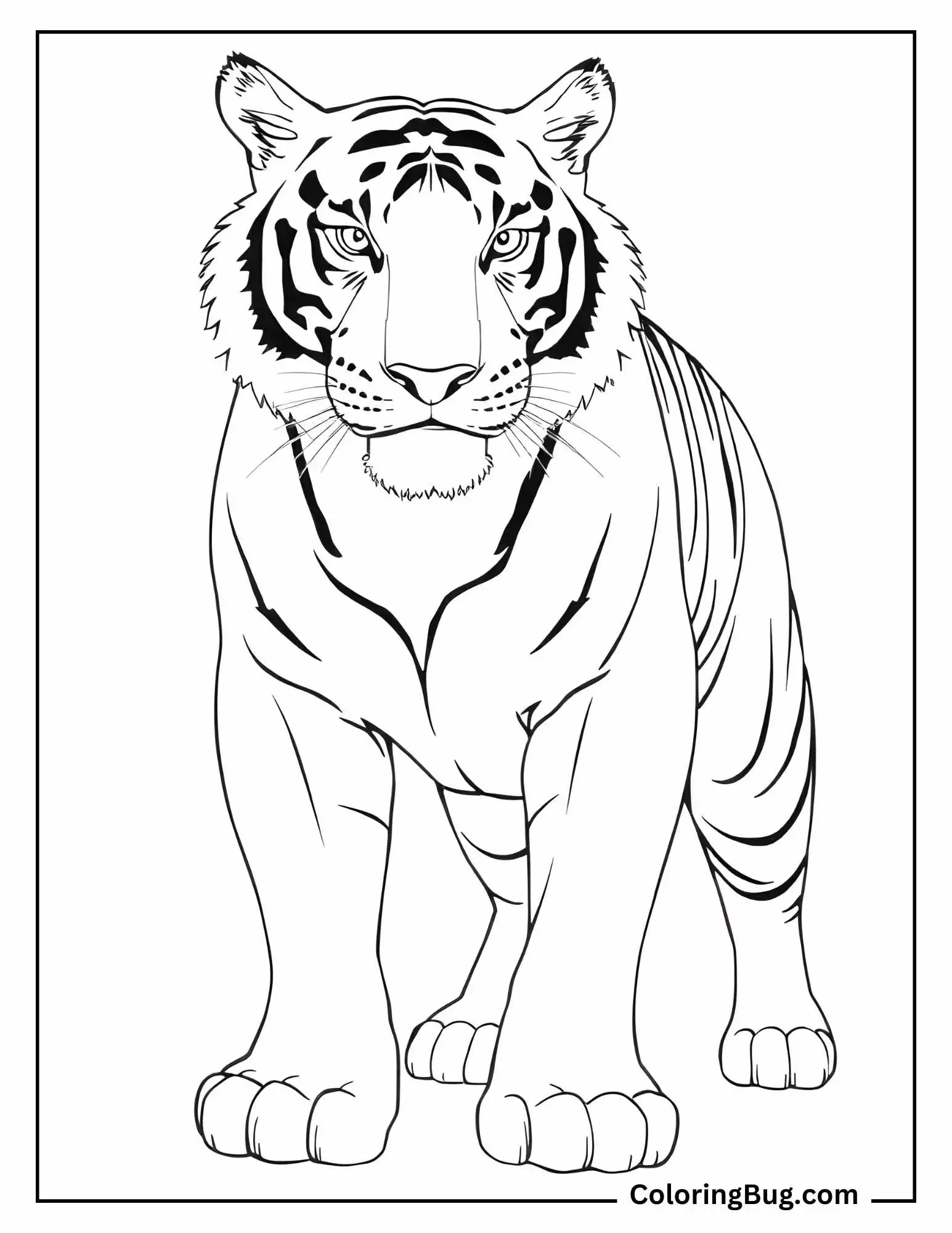 Big Realistic Tiger Coloring Sheet
