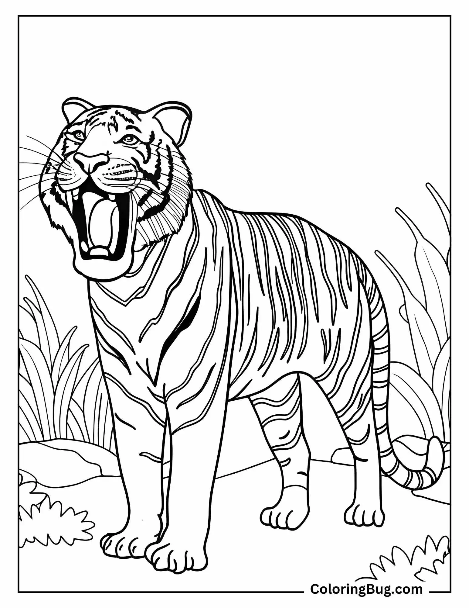 Big Tiger Roaring  Coloring Sheet