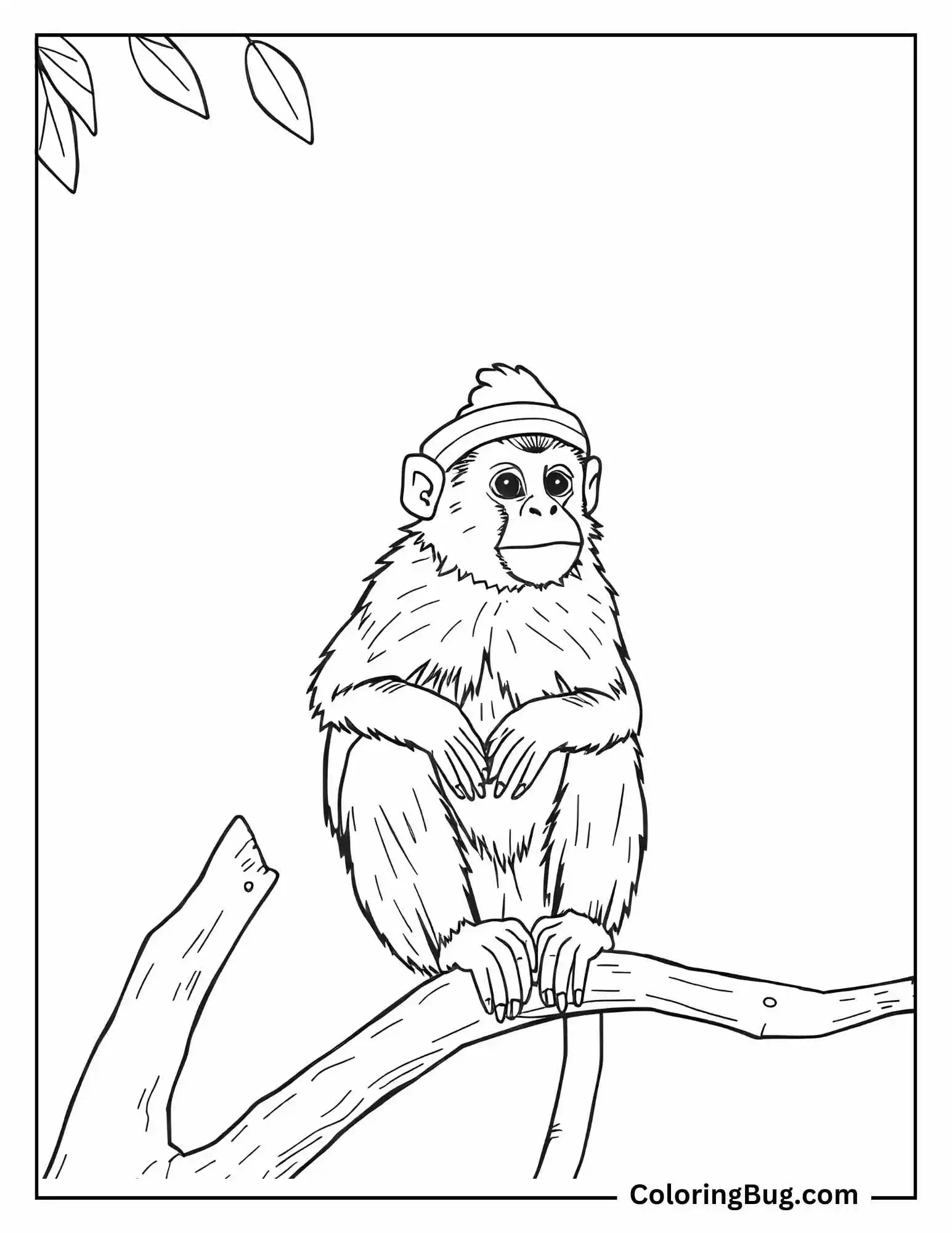 Bonnet Macaque Perched On Branch Coloring Sheet