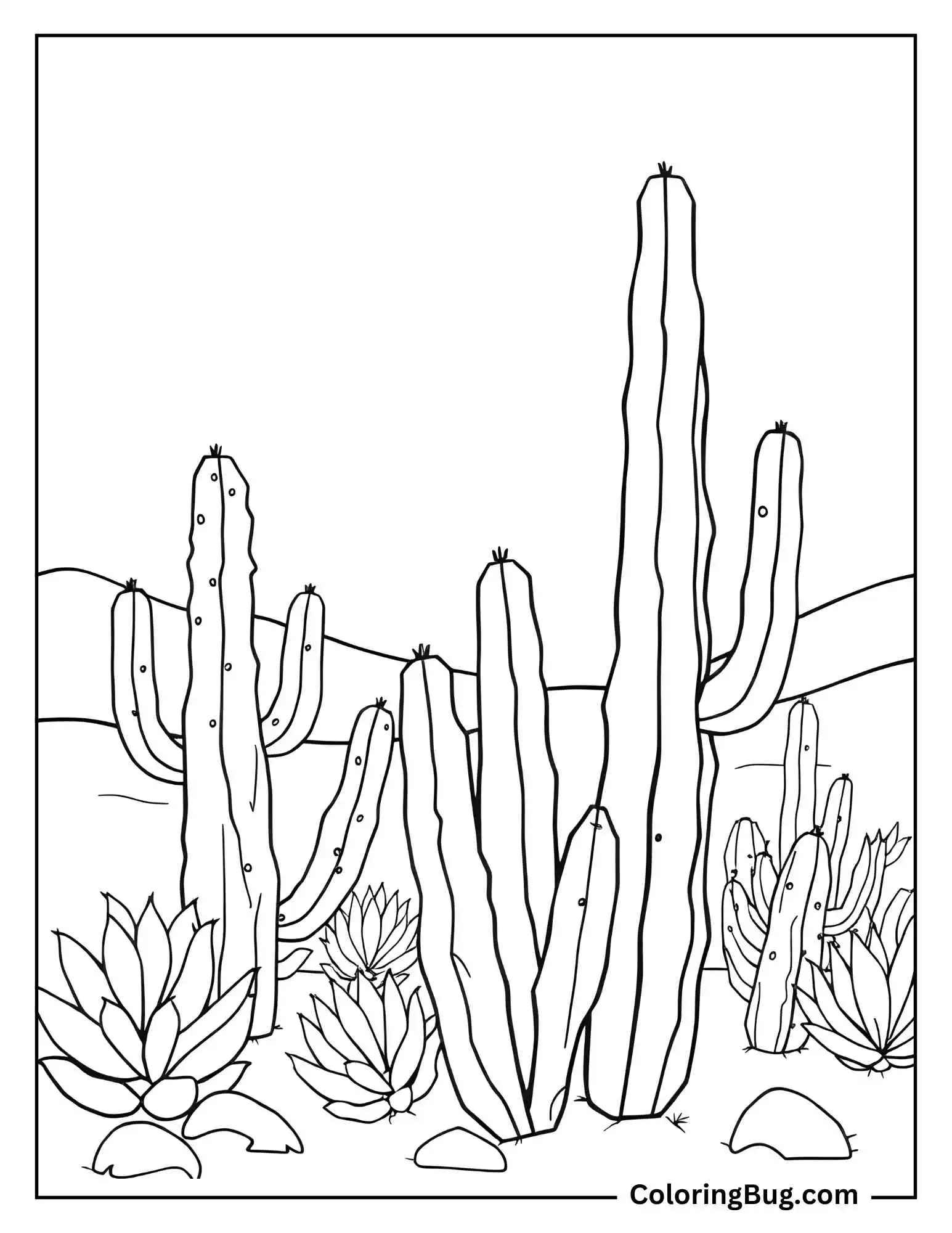 Cactus In The Desert Coloring Sheet