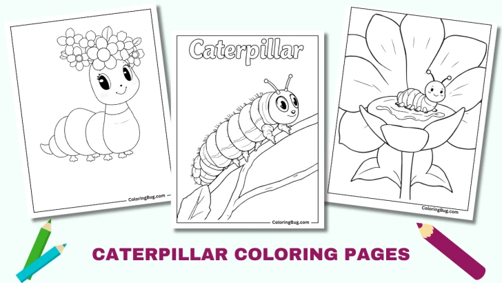 40+ Caterpillar Coloring pages (Free printable PDFs)