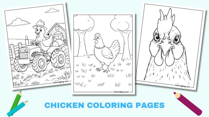 40 Chicken Coloring Pages (Free Printable PDFs)