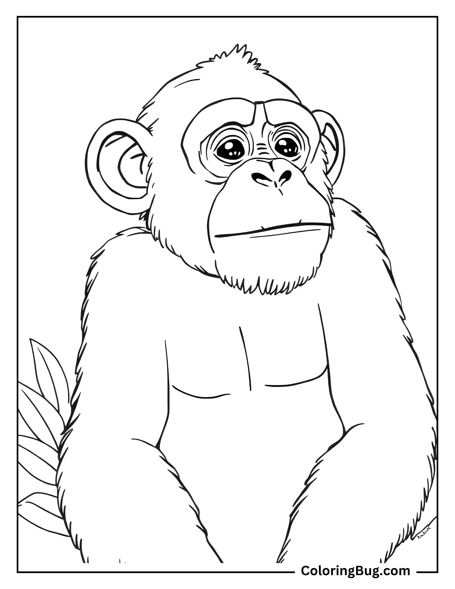 Chimpanzee Outline Coloring Sheet