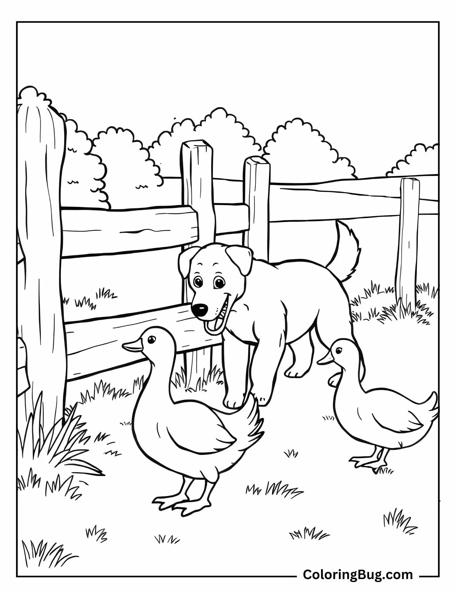 Dog Playing With Ducks Coloring Sheet