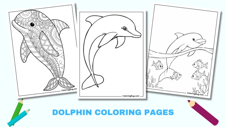 50 Dolphin Coloring Pages (Free Printable PDFs)
