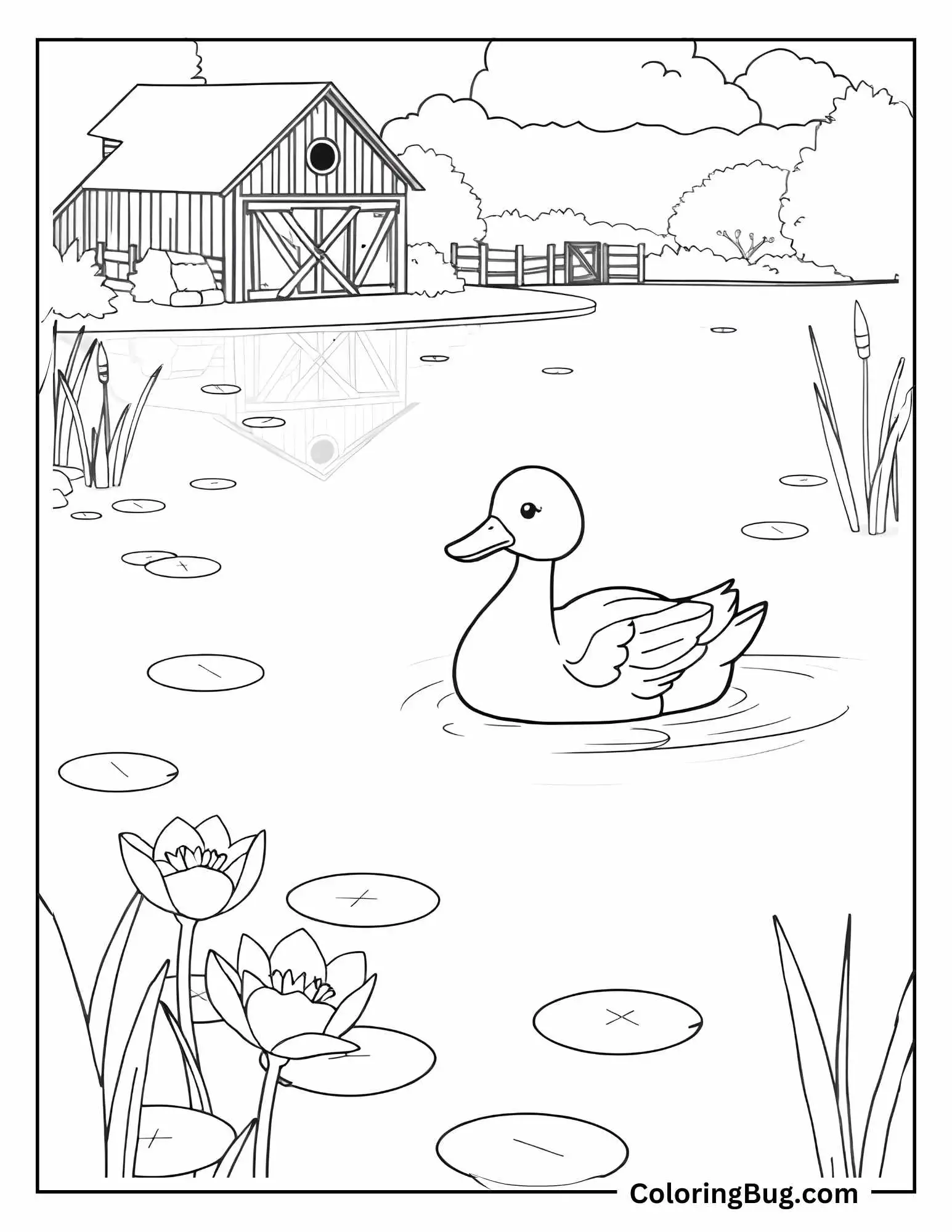 Duck Swimming In Pond Coloring Sheet