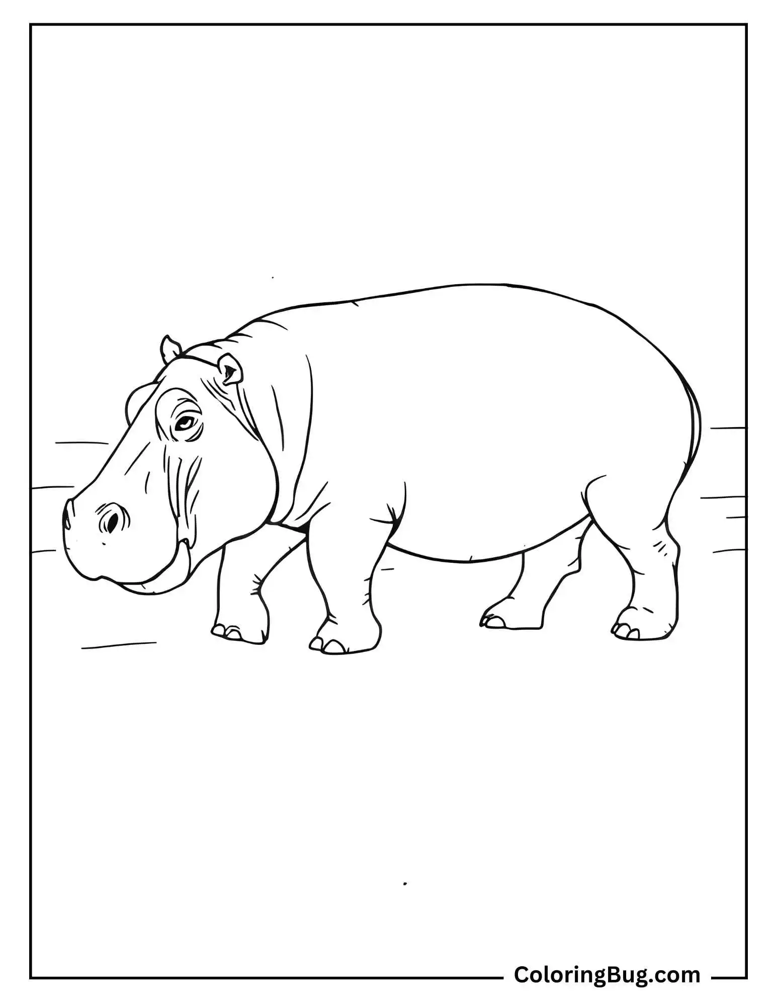 East African Hippo Walking Coloring Sheet    