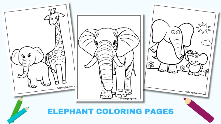 42 Elephant Coloring Pages (Free Printable PDFs)