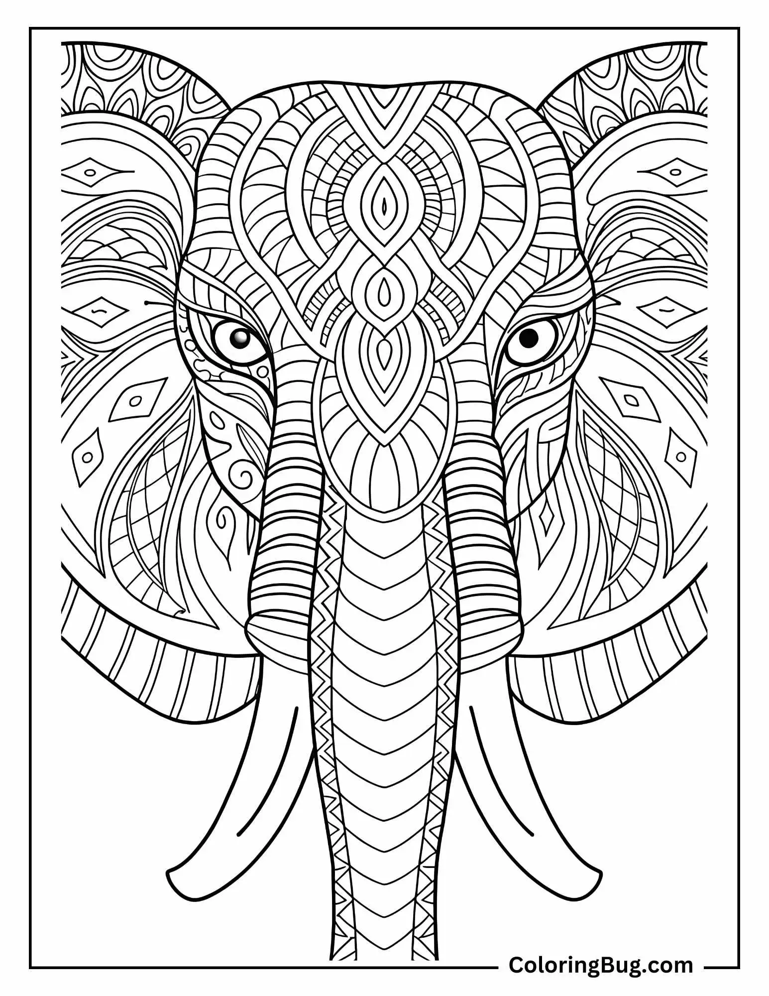 Elephant Coloring