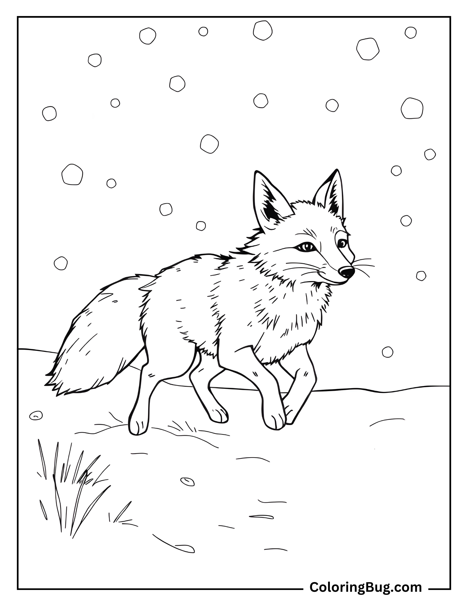 Fox Running in Snow coloring Sheet