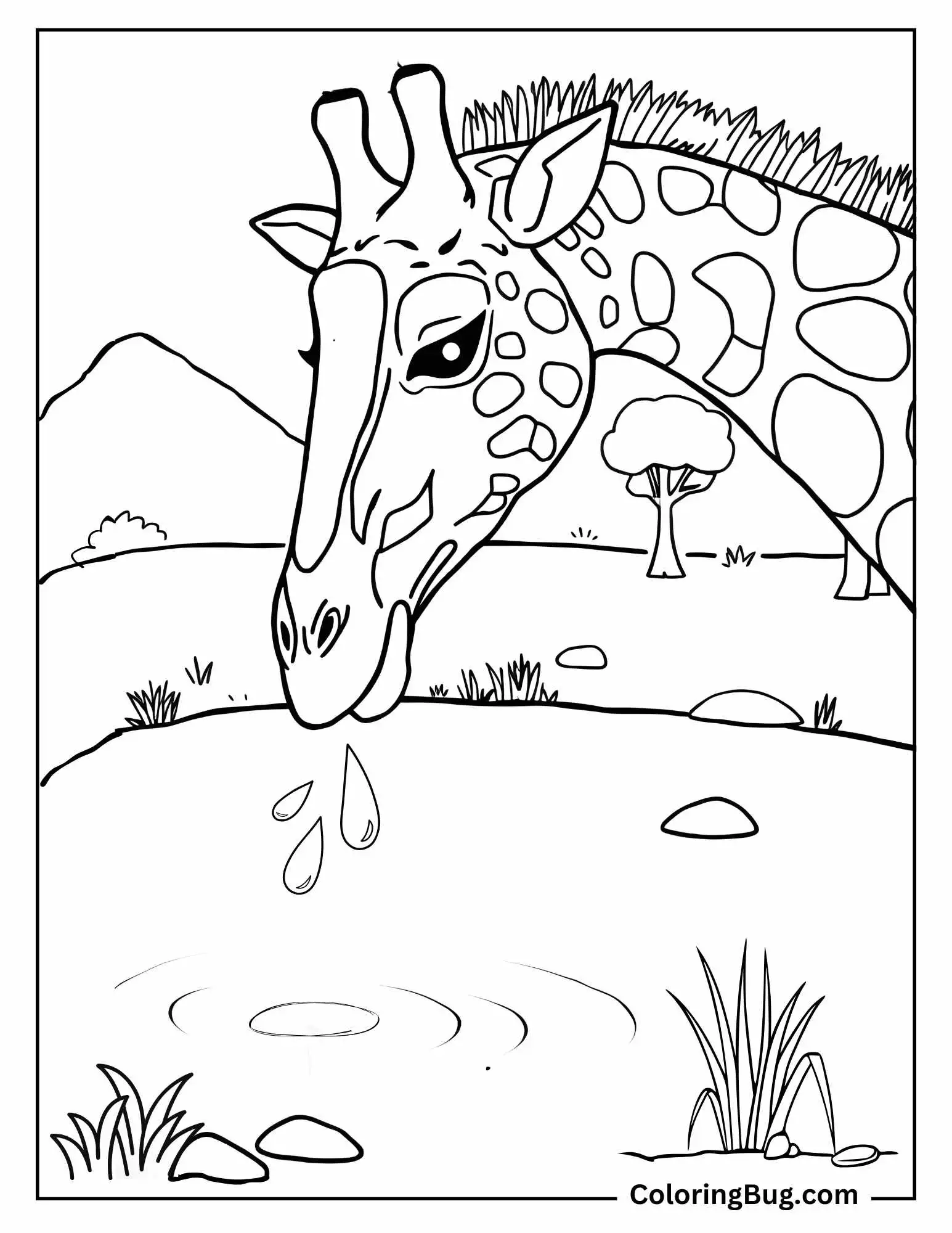 Giraffe Drinking Water From Lake Coloring Sheet