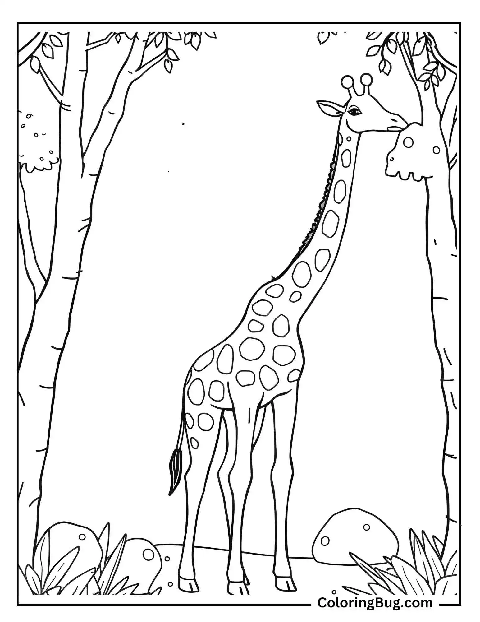 Realistic Giraffe In The Forest Coloring Sheet