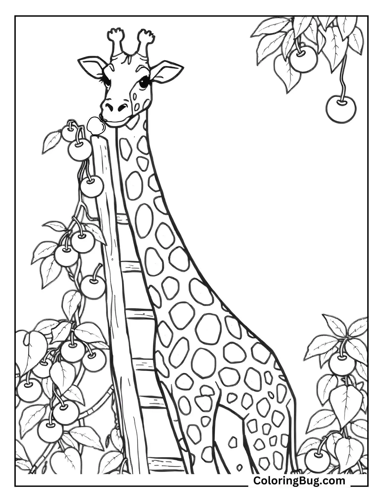 Giraffe Picking Apples Coloring Sheet