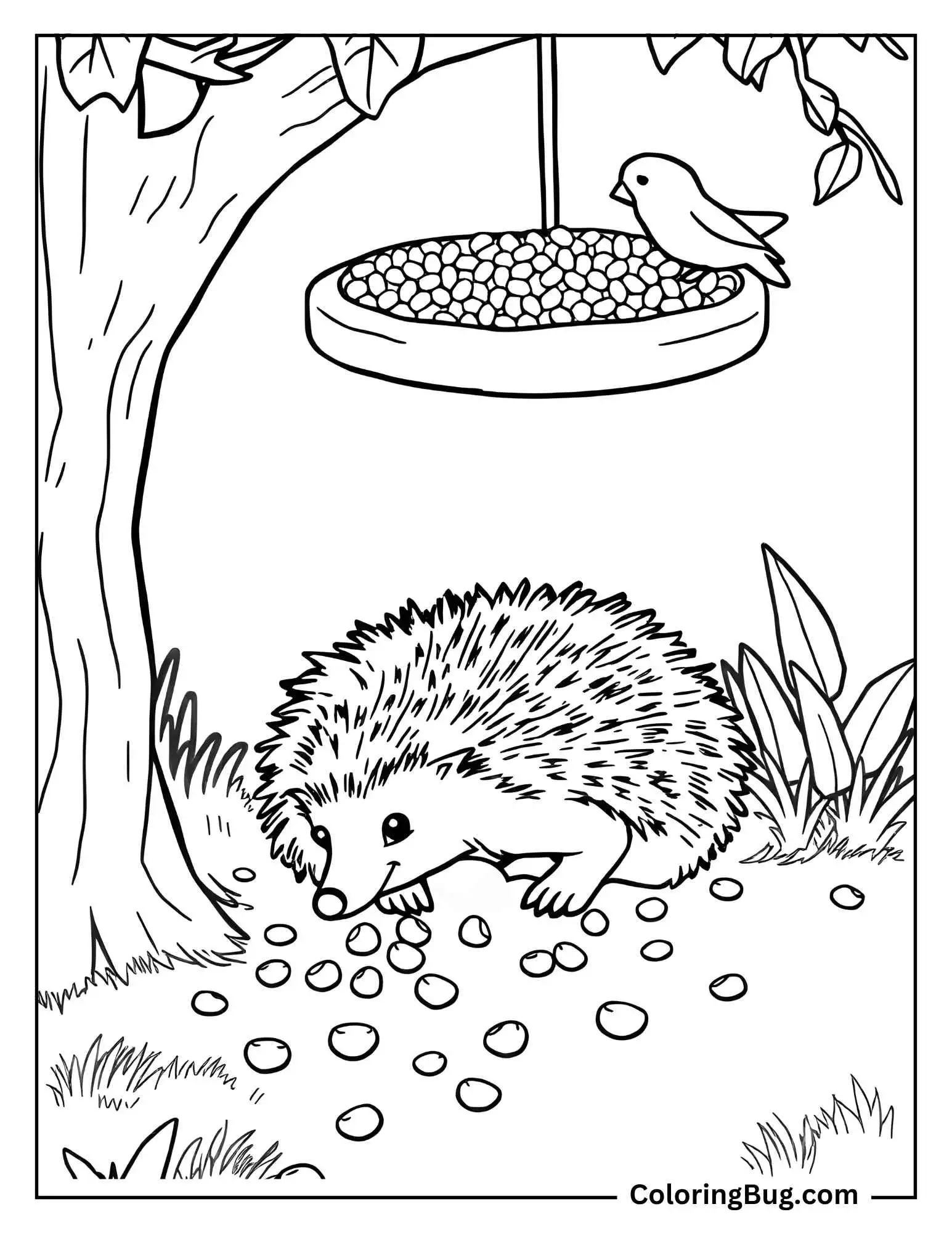 Hedgehog Scavenging Under Bird Feeder, Picking Up Scattered Seeds coloring Sheet