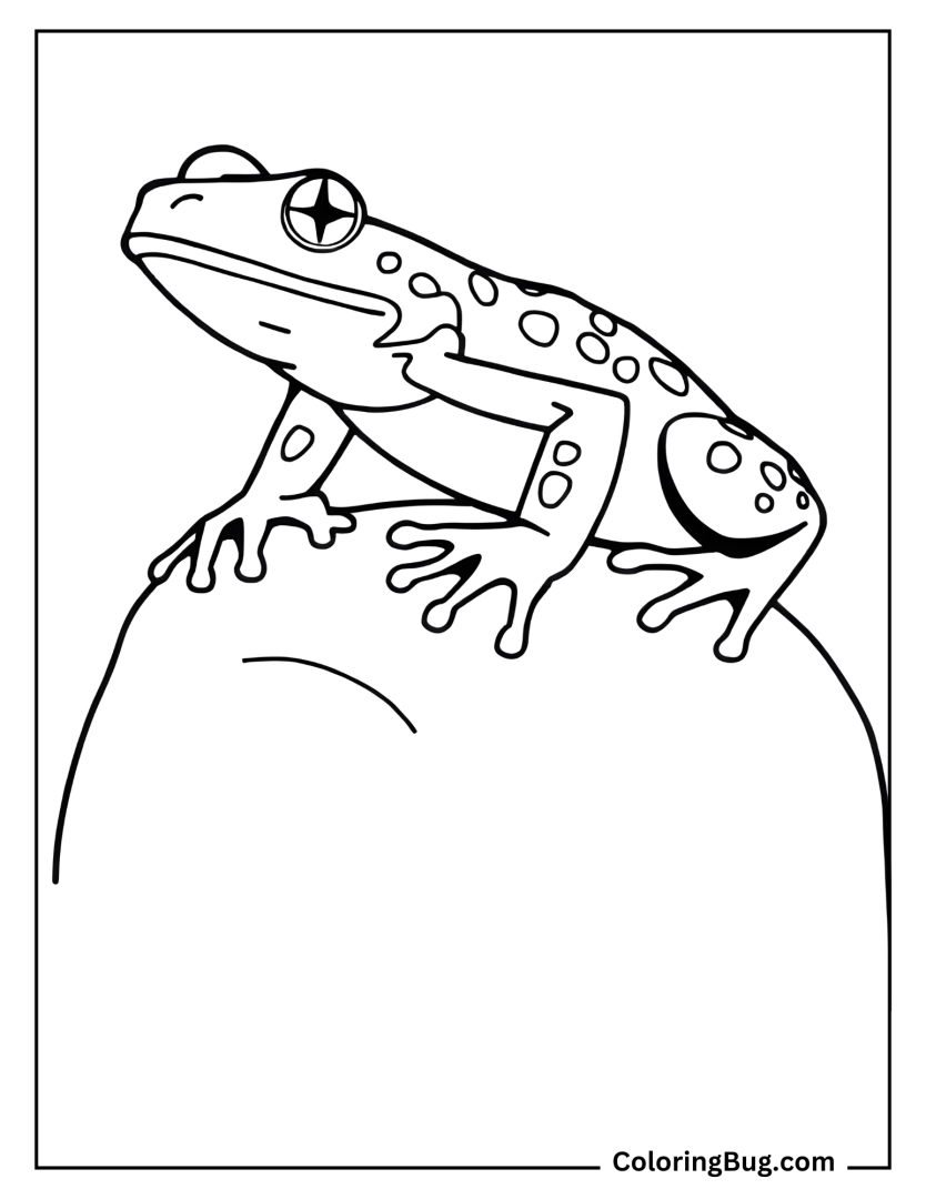 52 Frog Coloring Pages (Free Printable PDFs)