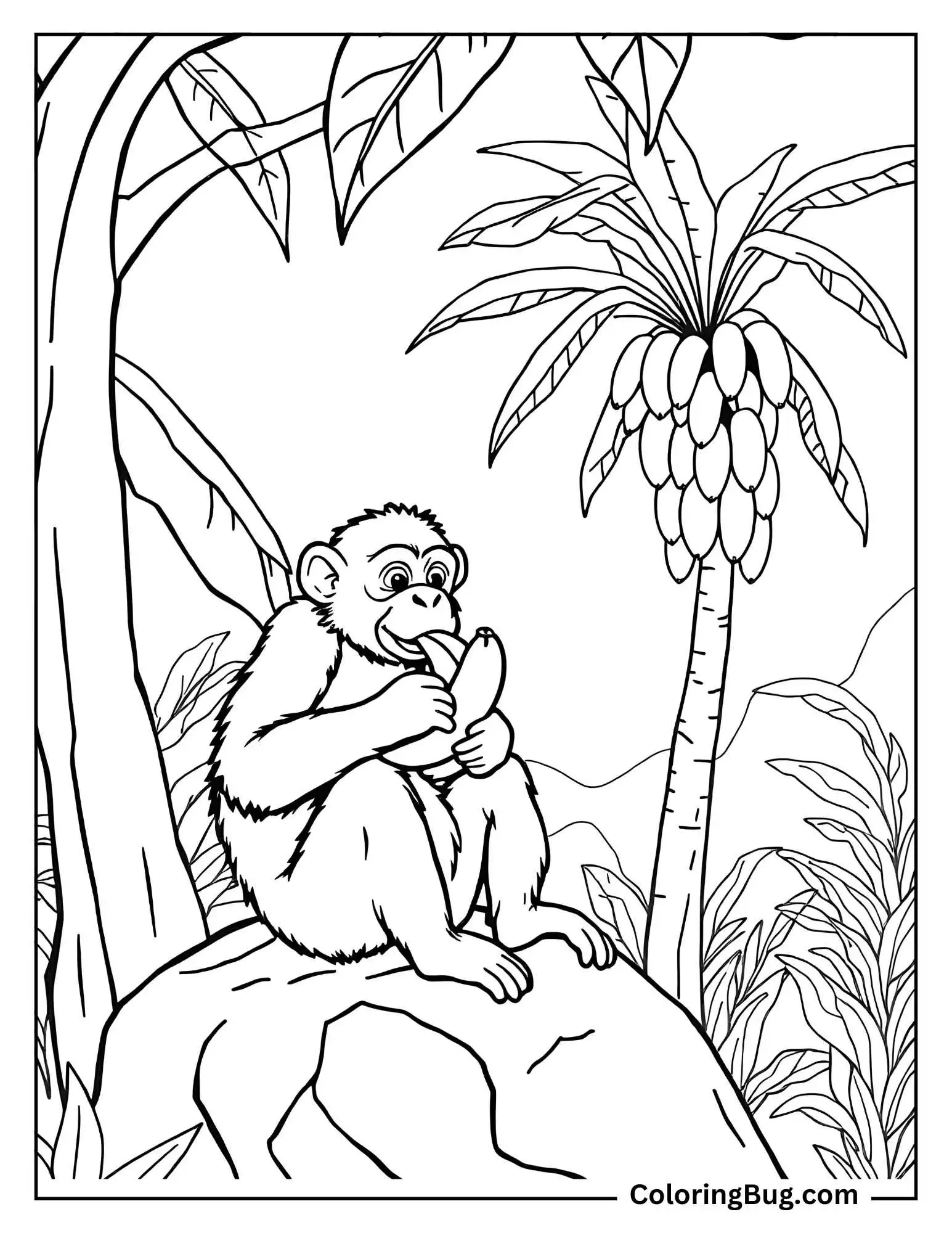 Monkey Eating Banana Coloring Sheet