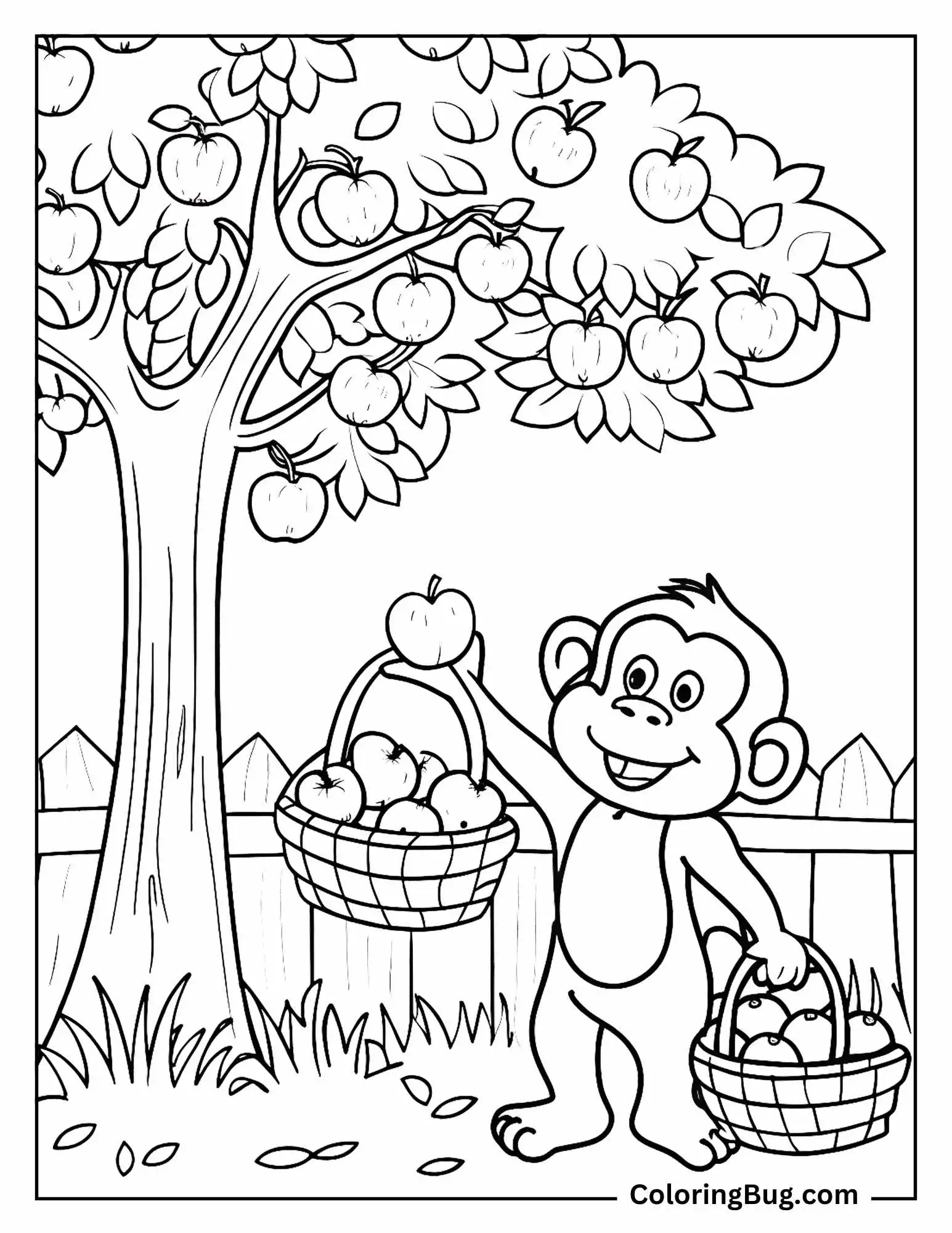 Monkey Picking Fruit From Tree coloring sheet