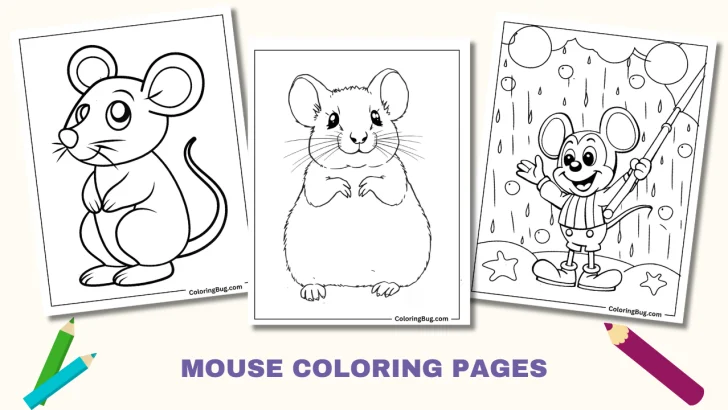 40 Mouse Coloring Pages (Free Printable PDFs)